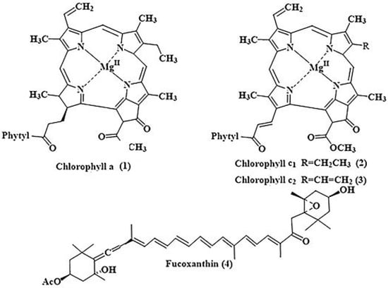 Main pigments, taking part in photosynthesis in diatoms.