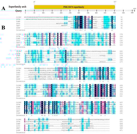 Domain organization and sequence homology of CiCRY-DASH1. (A) Protein domain of the CiCRY-DASH1 amino acid sequence; (B) amino acid sequence alignment comparison. Note: 1: Chlamydomonas sp. ICE-L; 2: Synechocystis sp. PCC 6803; 3: Arabidopsis thaliana (thale cress); 4: Synechococcus elongatus PCC 6301 (Synechococcus leopoliensis SAG 1402-1); 5: Arabidopsis thaliana (thale cress); 6: Escherichia coli.