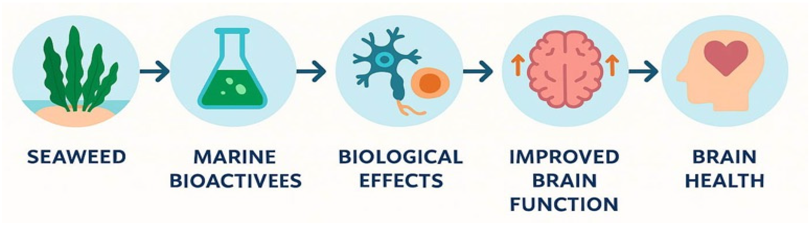 Marinedrugs 24 00031 g001