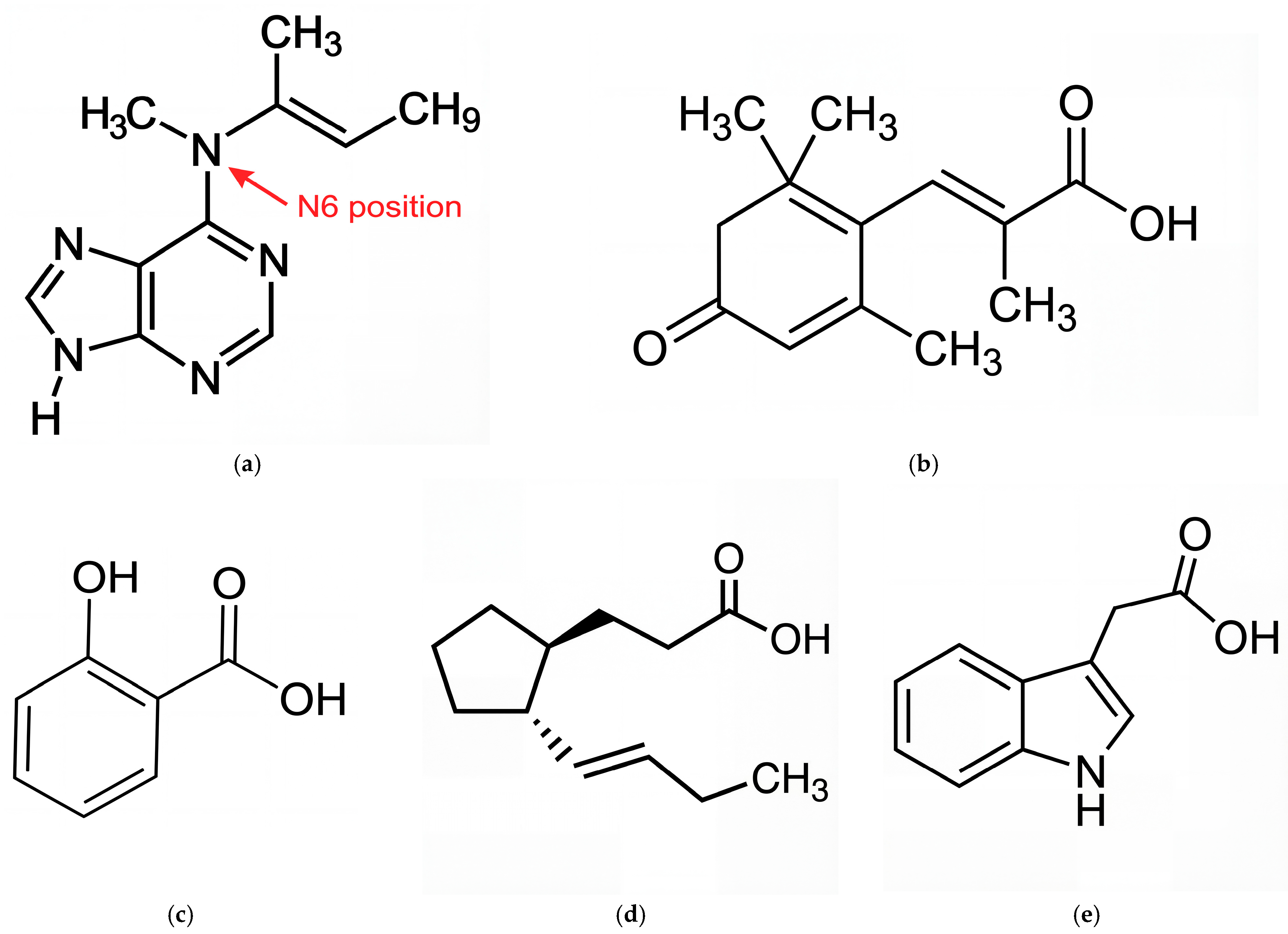 Marinedrugs 24 00035 g001