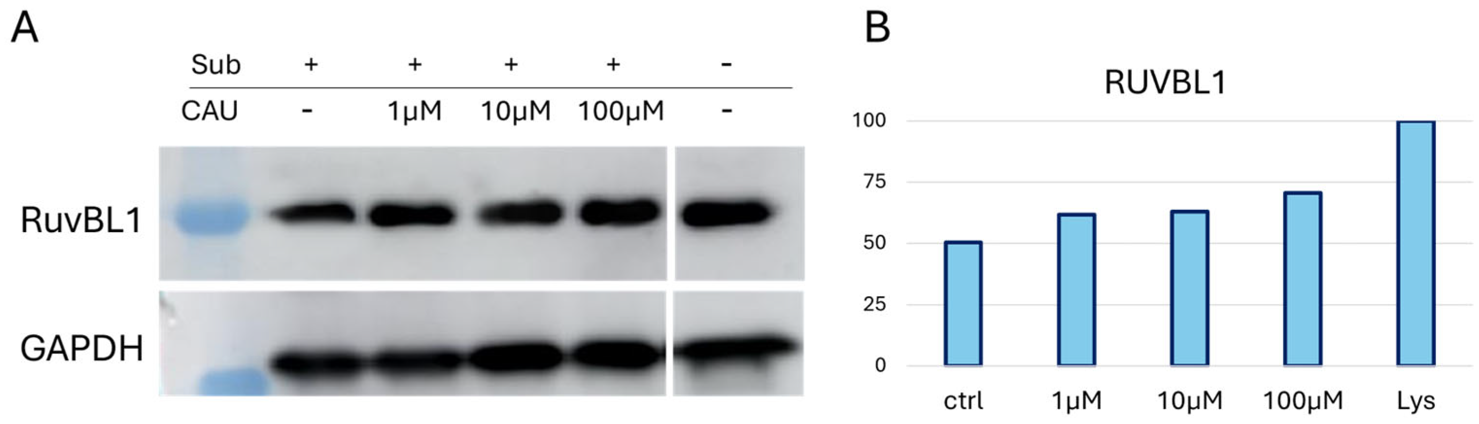 Marinedrugs 24 00037 g002 Marinedrugs 24 00037 g002