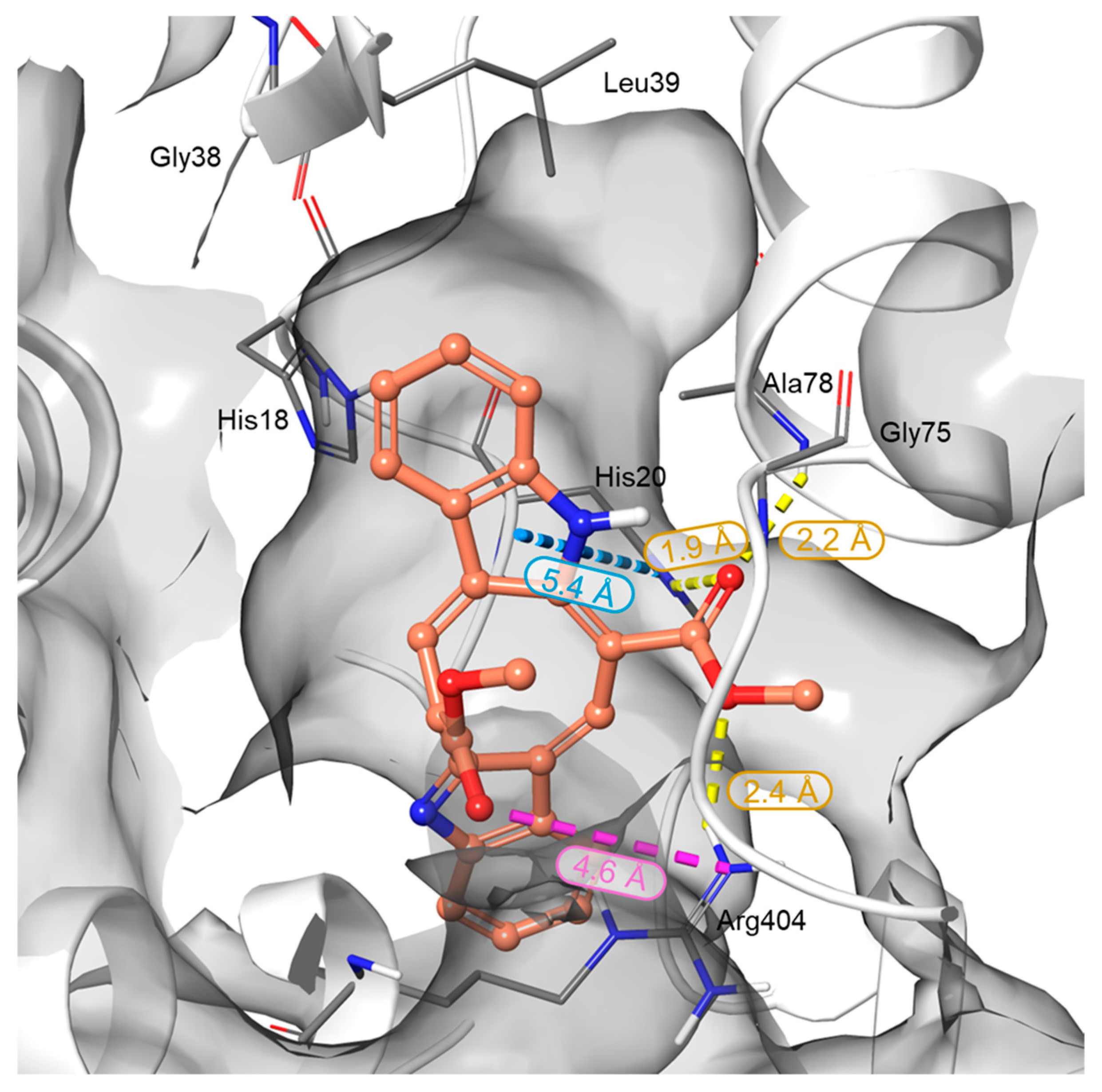 Marinedrugs 24 00037 g003 Marinedrugs 24 00037 g003