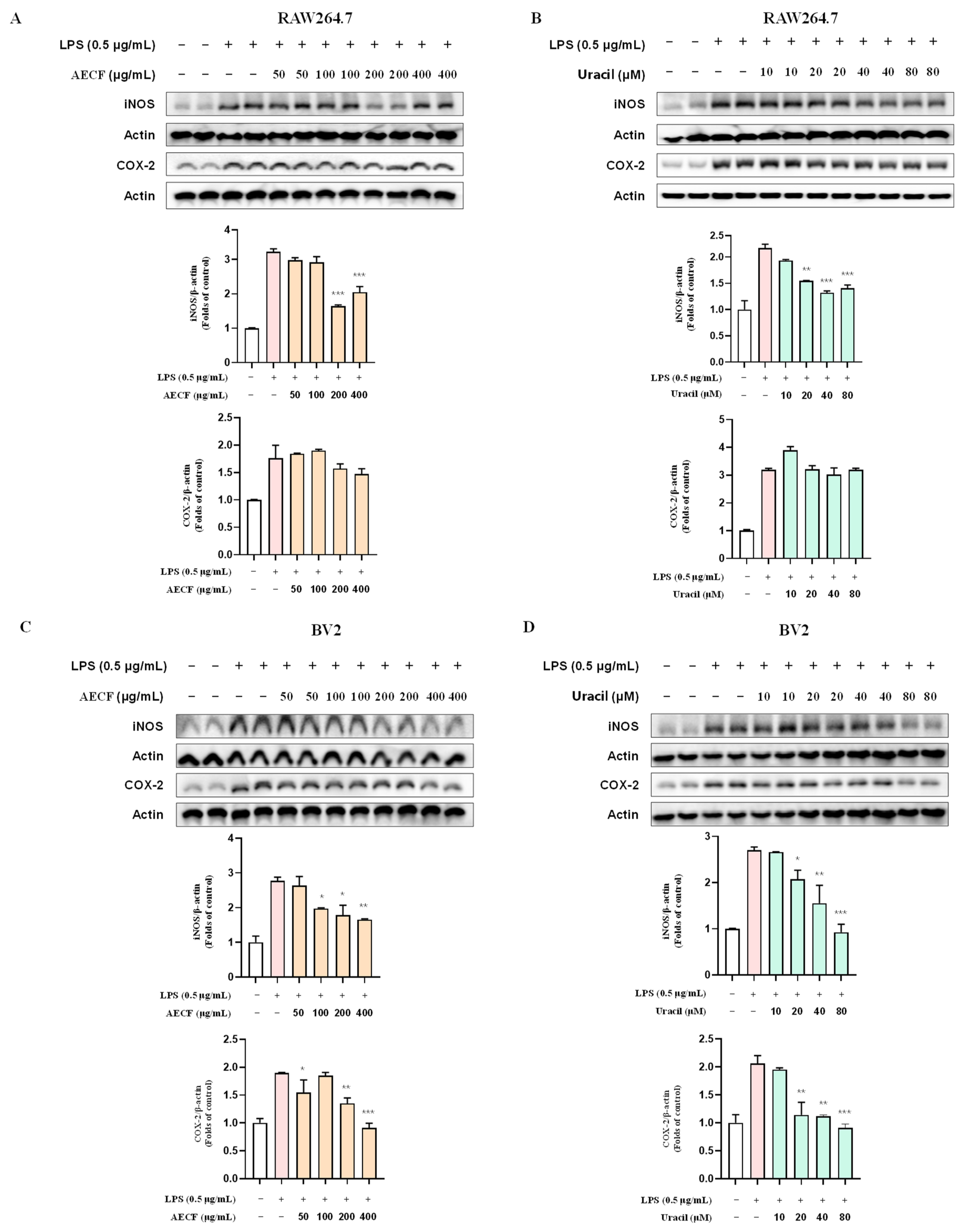 Marinedrugs 24 00038 g005