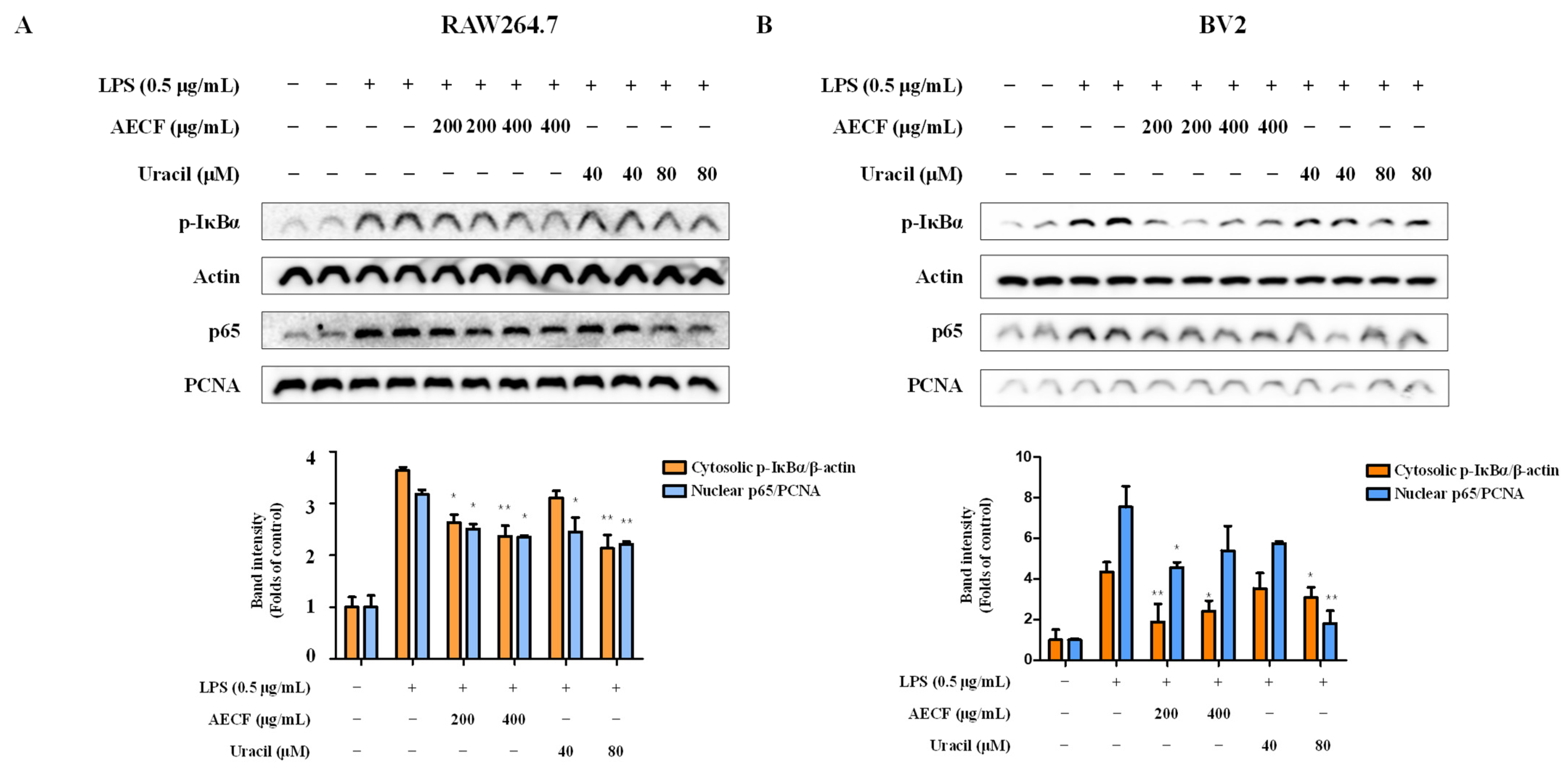 Marinedrugs 24 00038 g006a