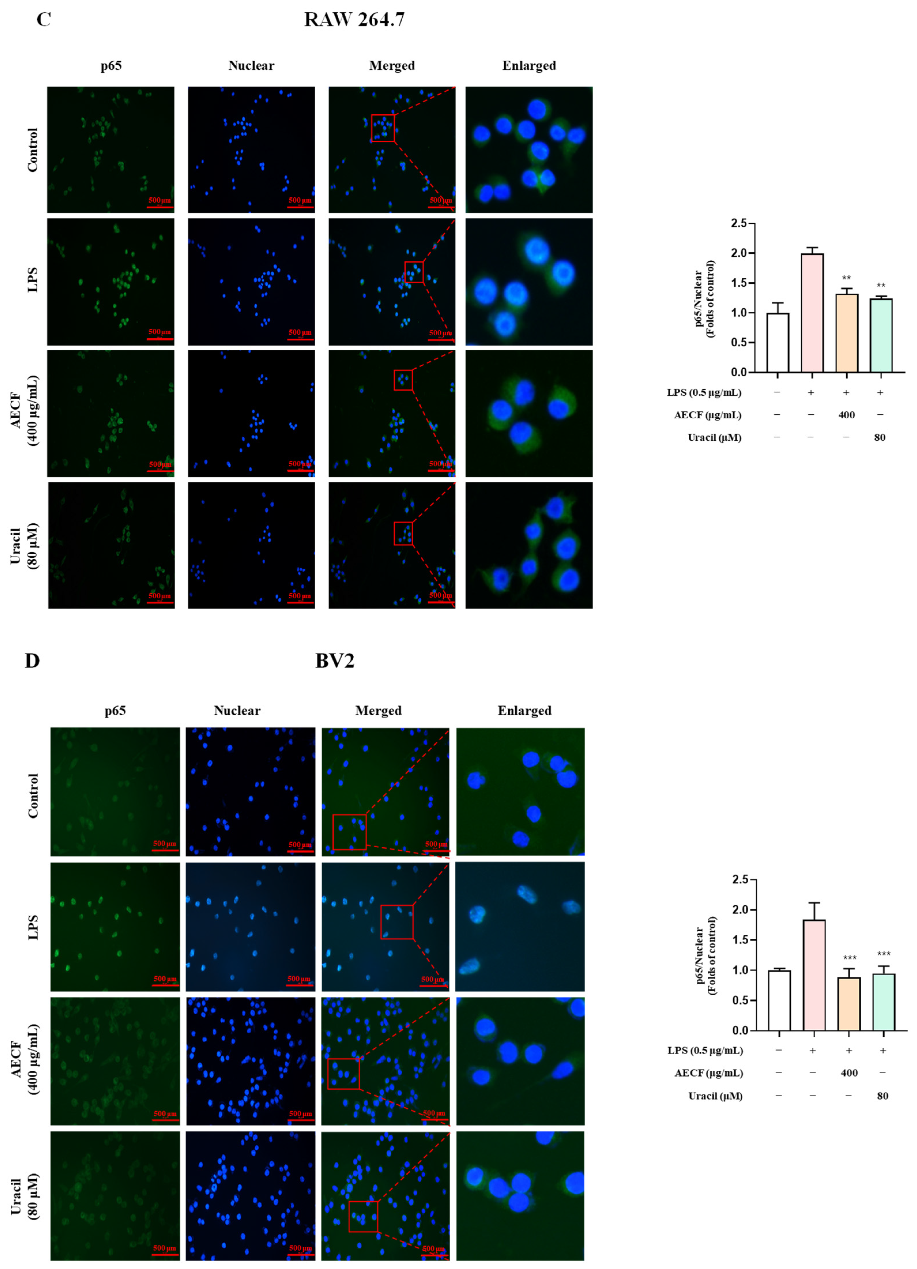 Marinedrugs 24 00038 g006b