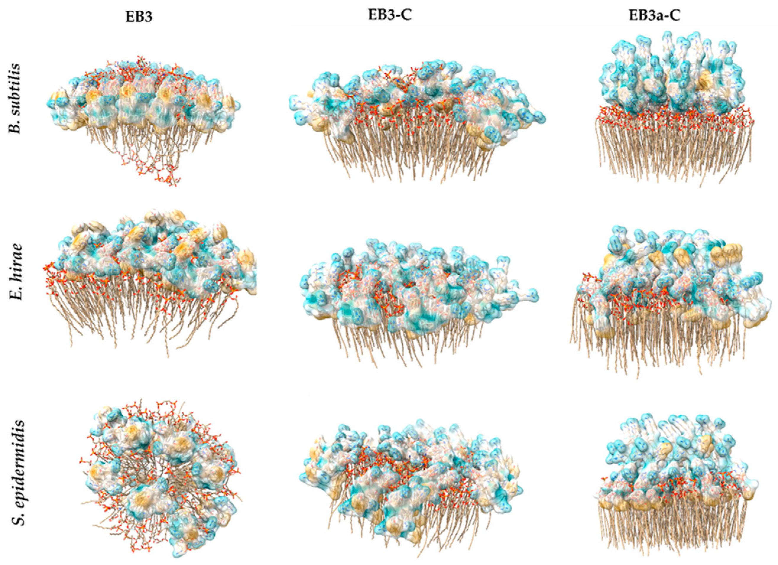 Marinedrugs 24 00046 g005 Marinedrugs 24 00046 g005