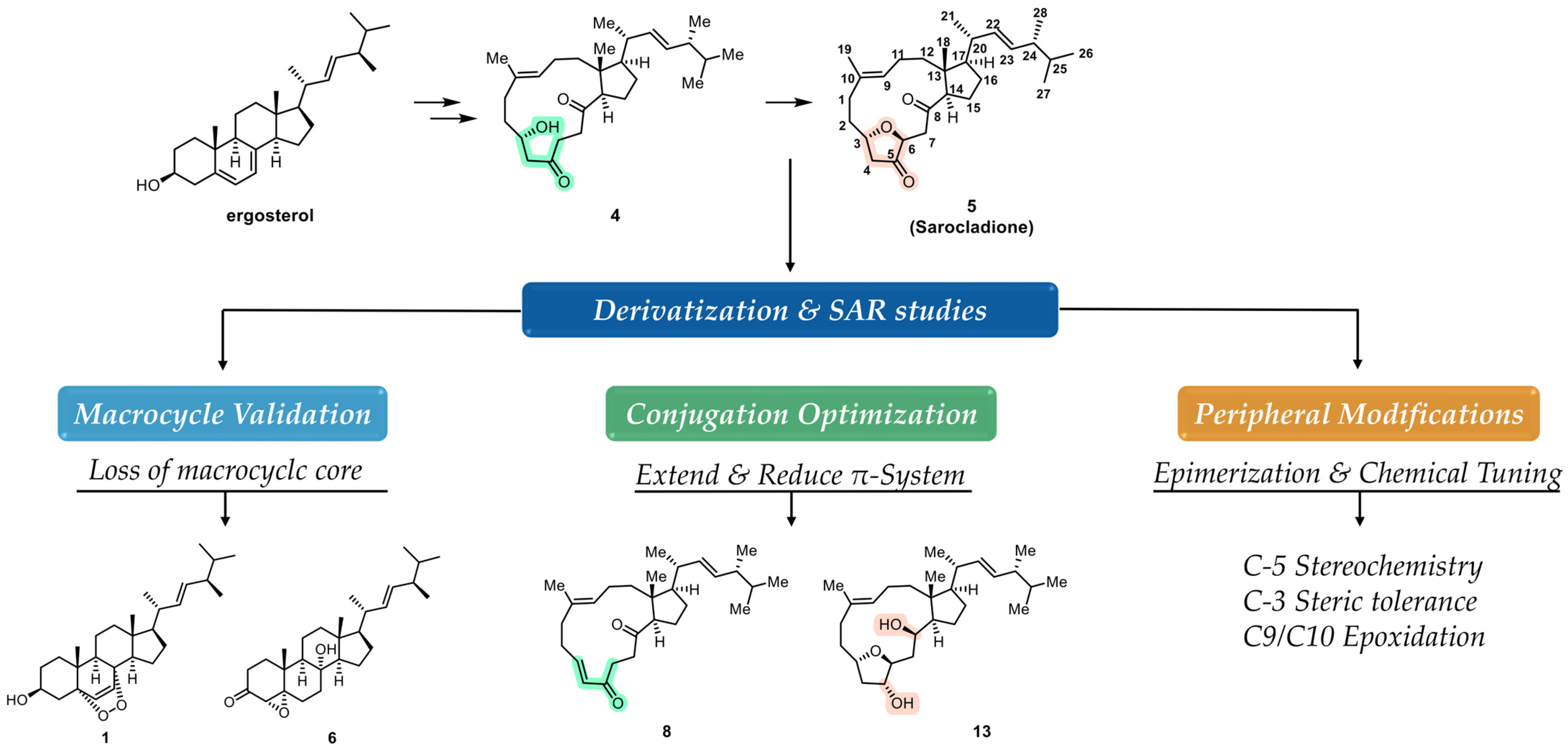 Marinedrugs 24 00048 g001 Marinedrugs 24 00048 g001