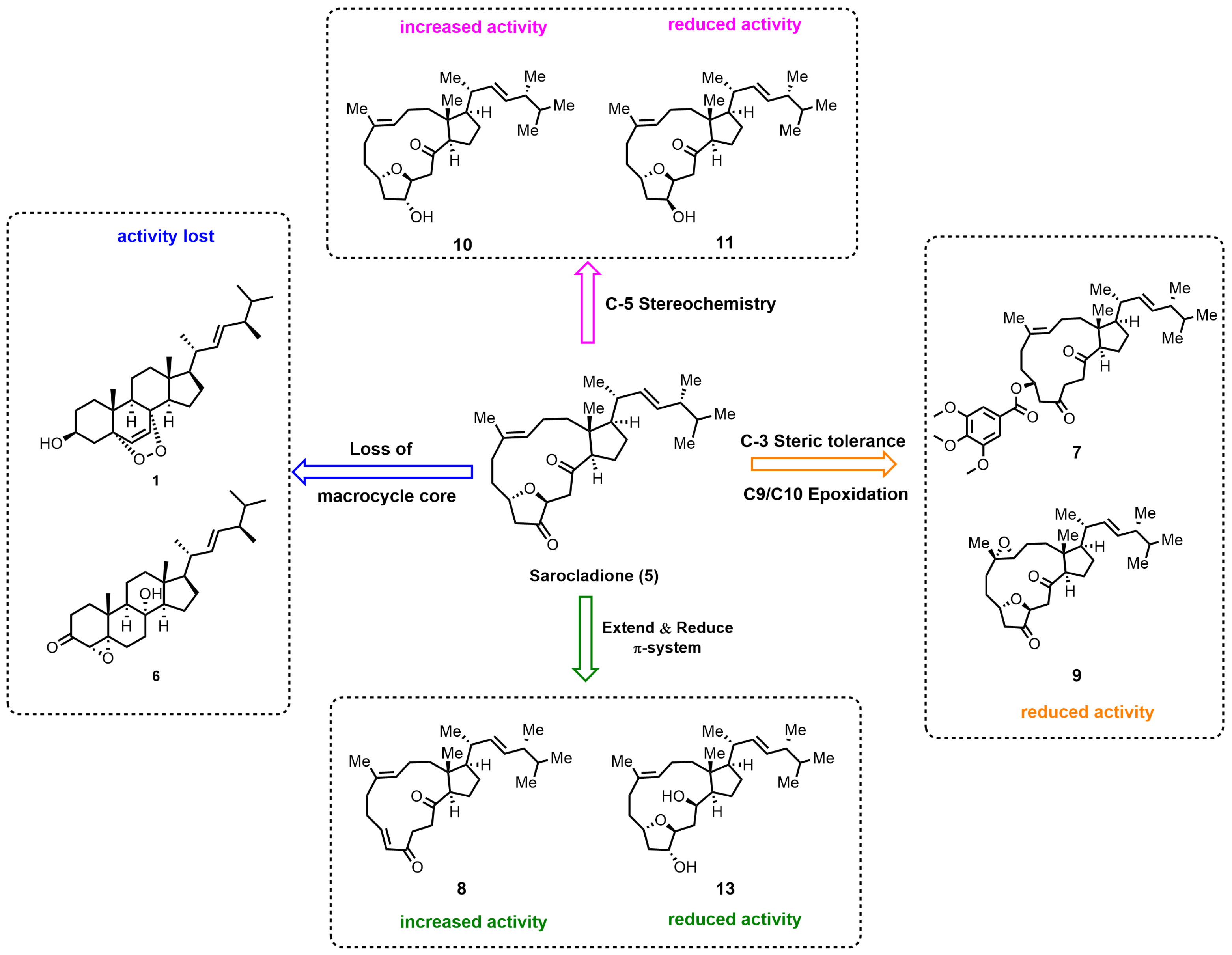 Marinedrugs 24 00048 g004 Marinedrugs 24 00048 g004