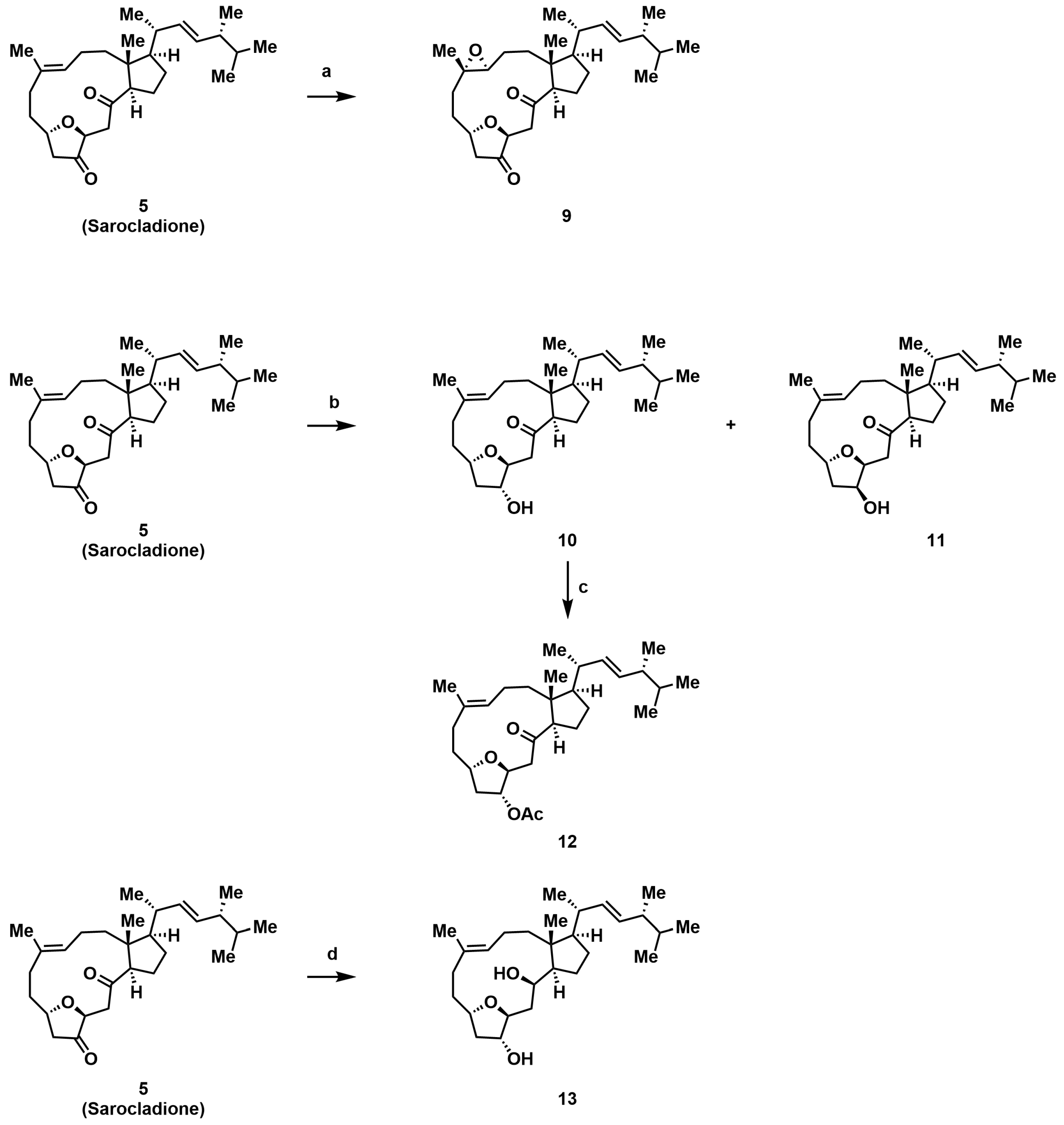 Marinedrugs 24 00048 sch003 Marinedrugs 24 00048 sch003