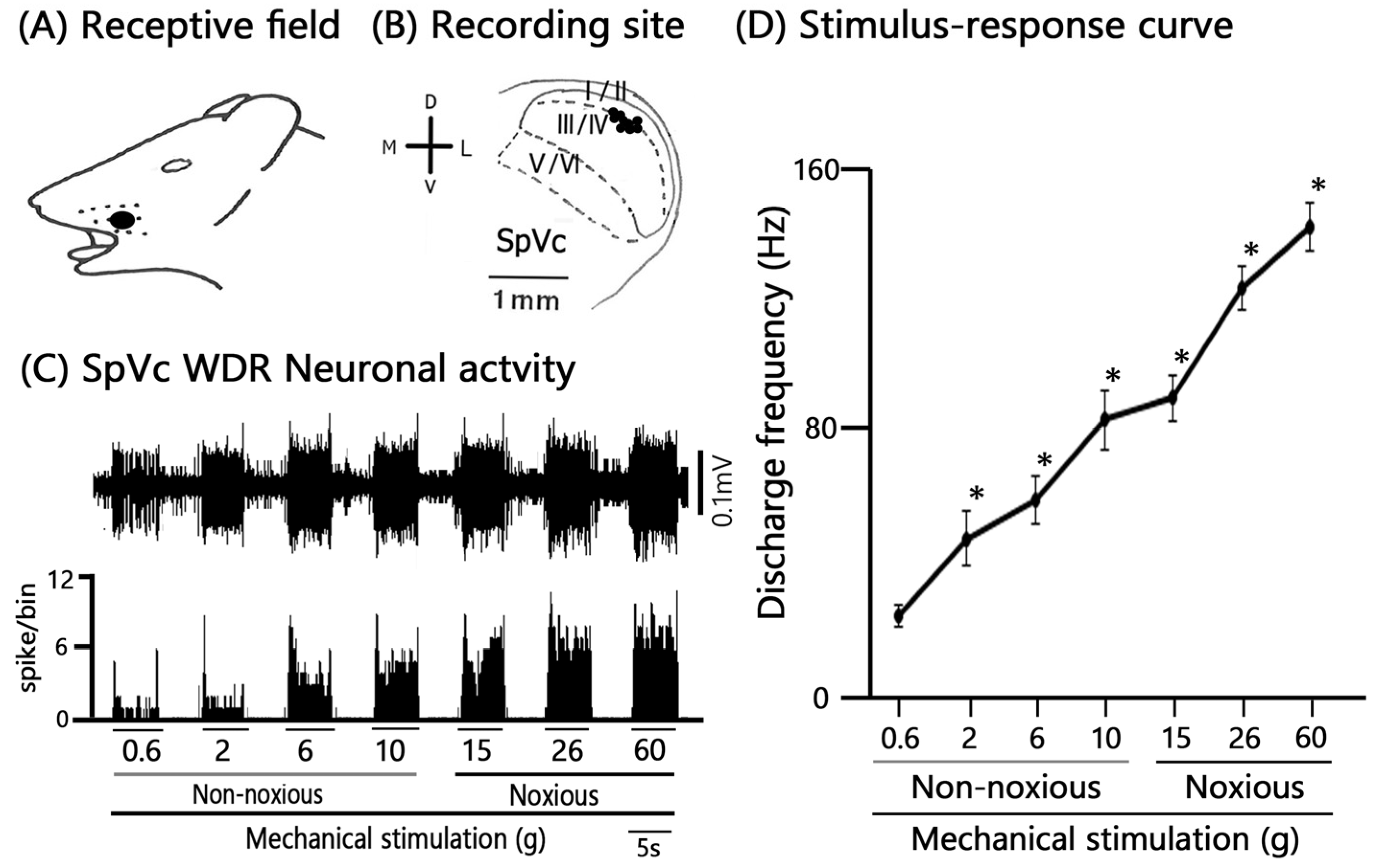 Marinedrugs 24 00049 g002 Marinedrugs 24 00049 g002