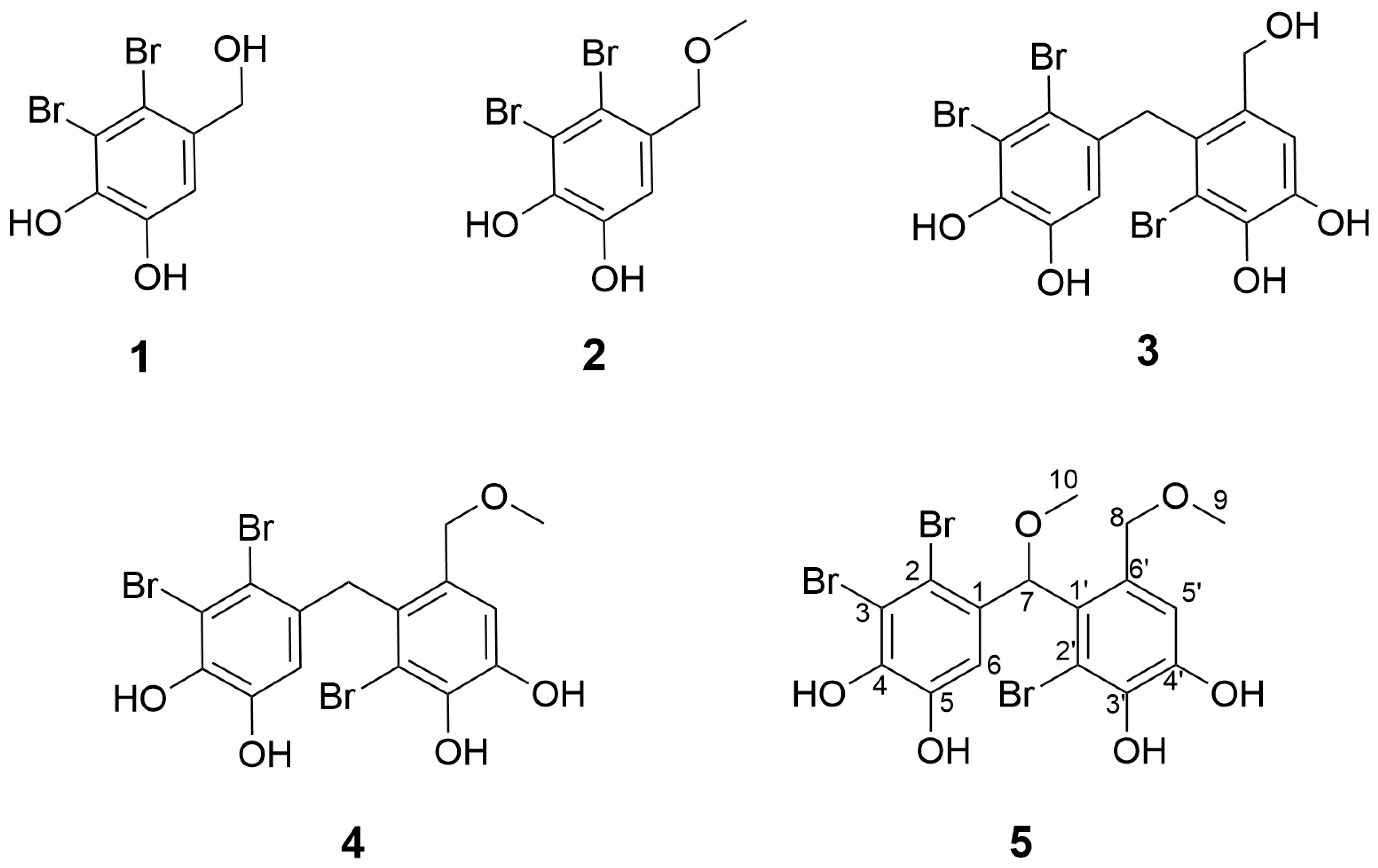 Marinedrugs 24 00052 g002