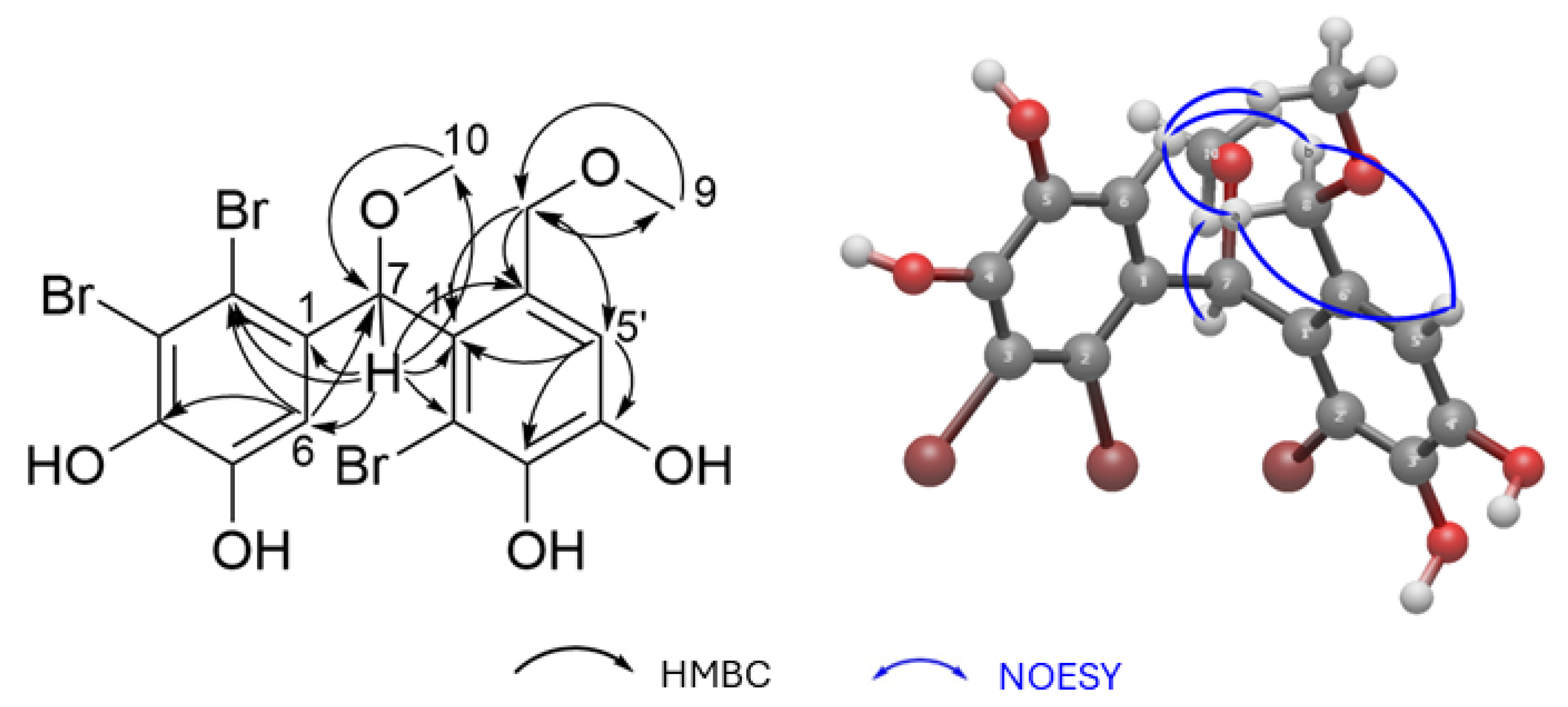 Marinedrugs 24 00052 g003