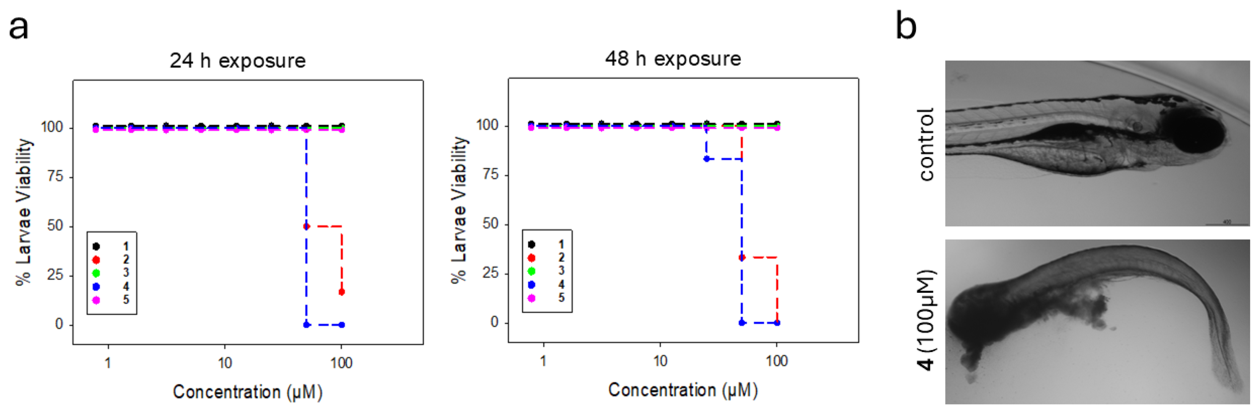 Marinedrugs 24 00052 g005