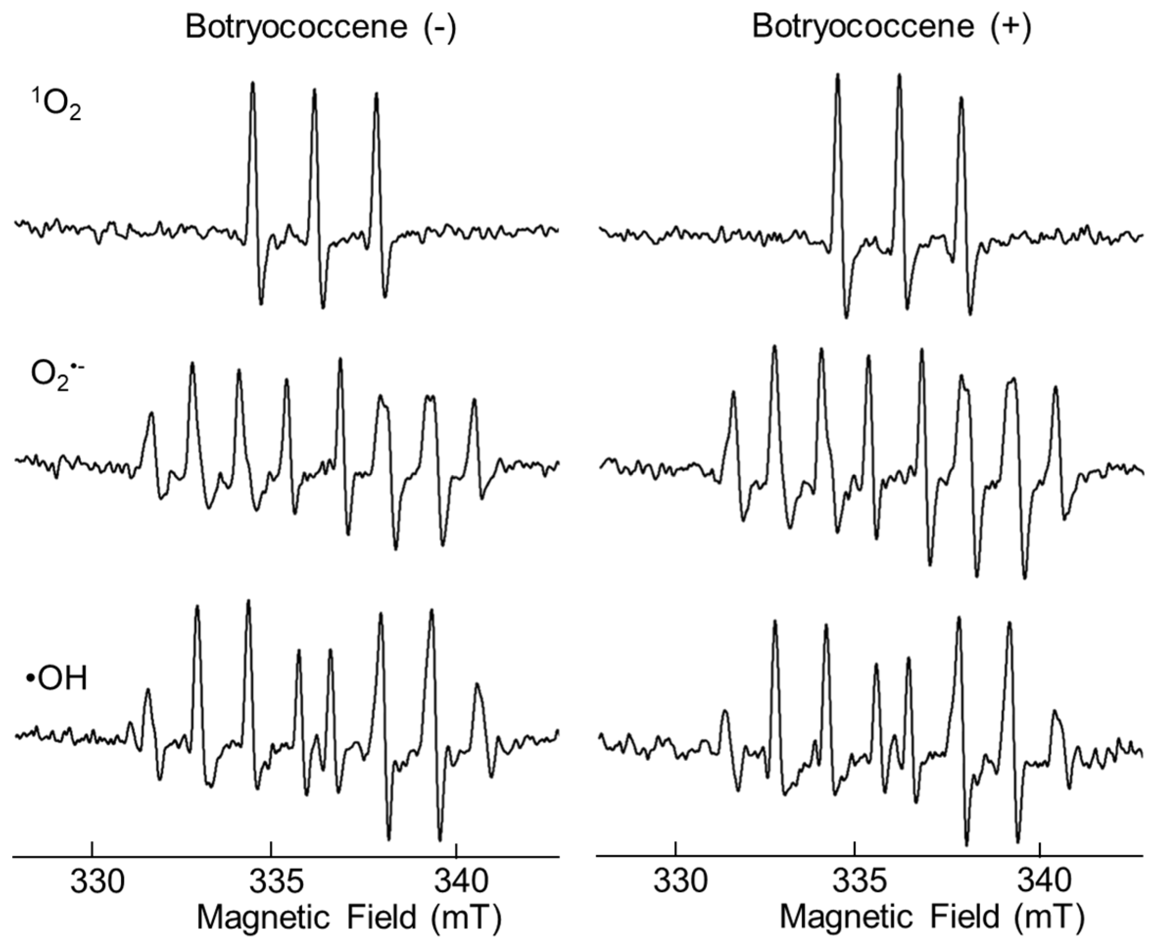Marinedrugs 24 00057 g002 Marinedrugs 24 00057 g002