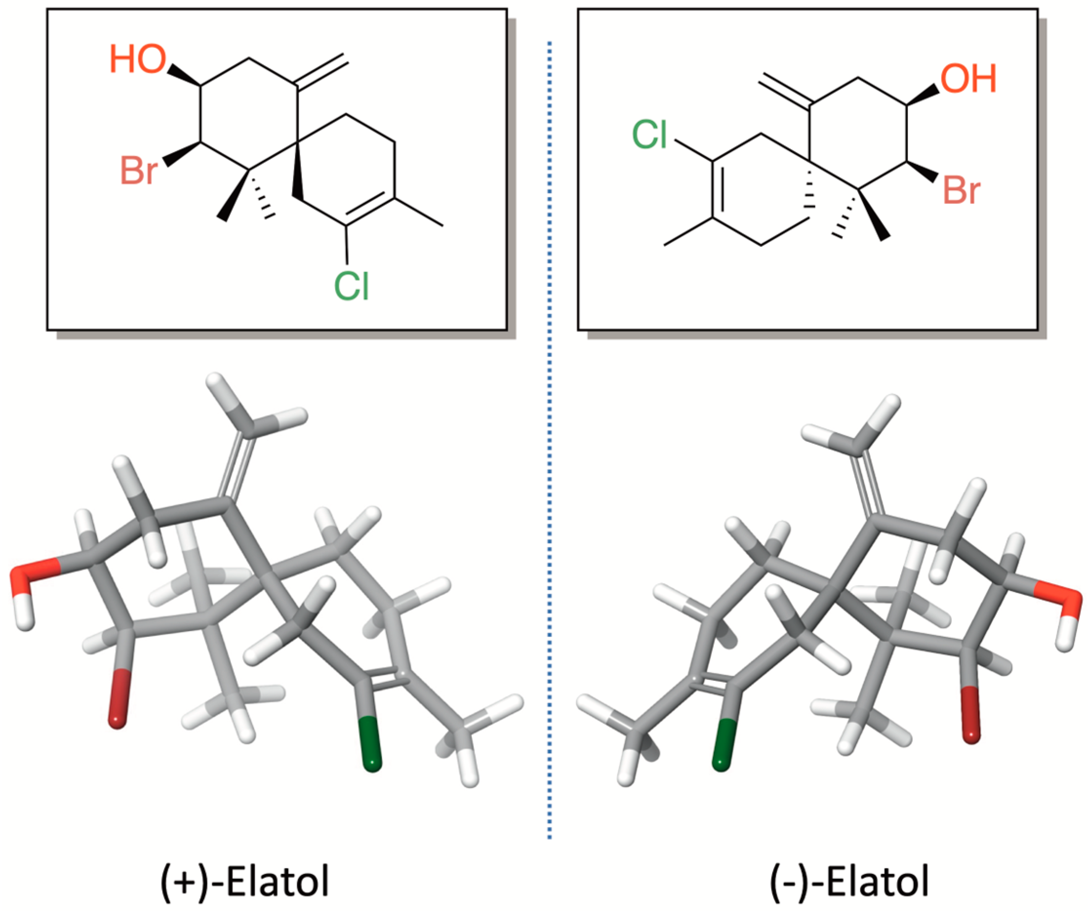 Marinedrugs 24 00061 g001