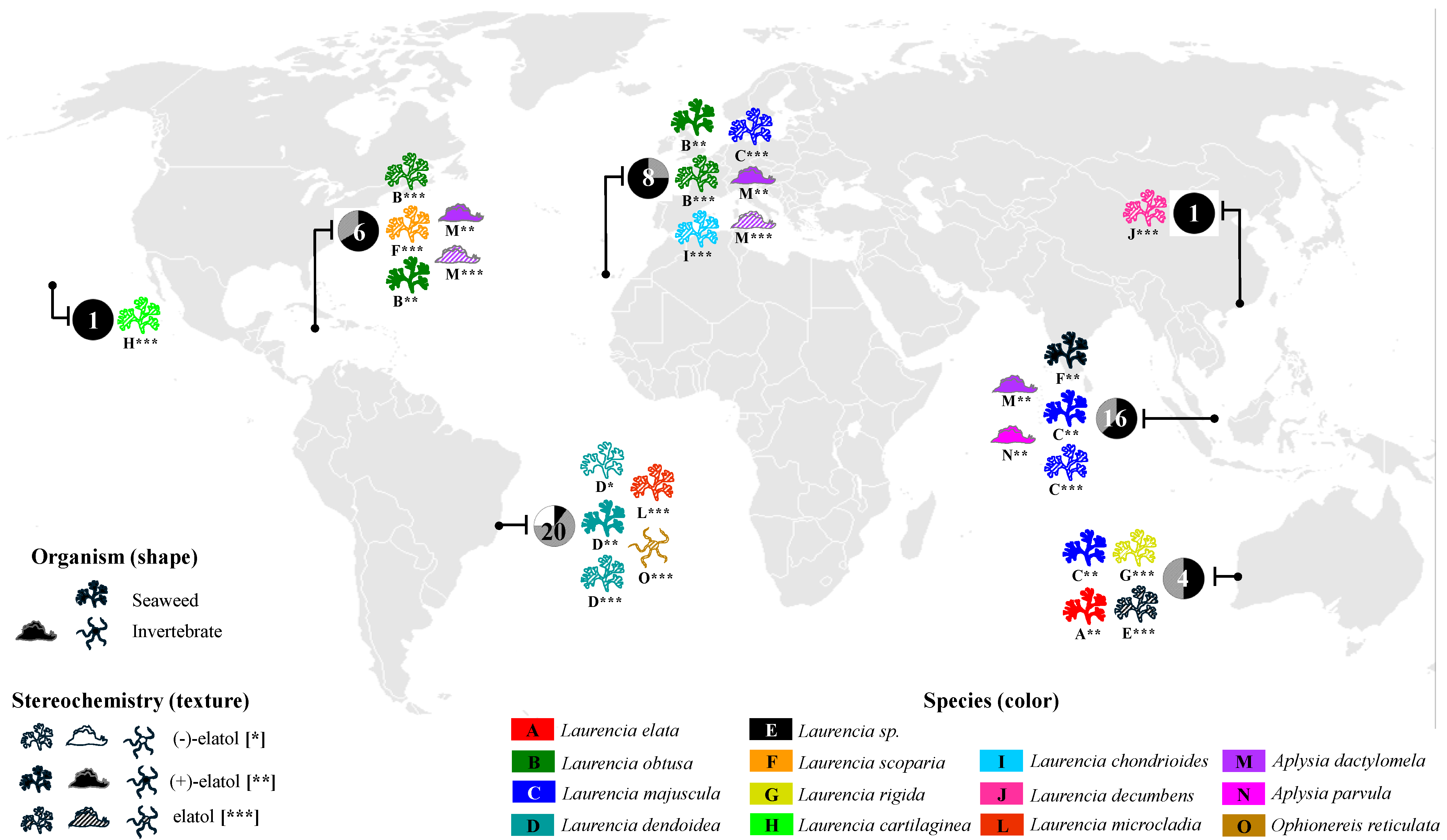 Marinedrugs 24 00061 g002