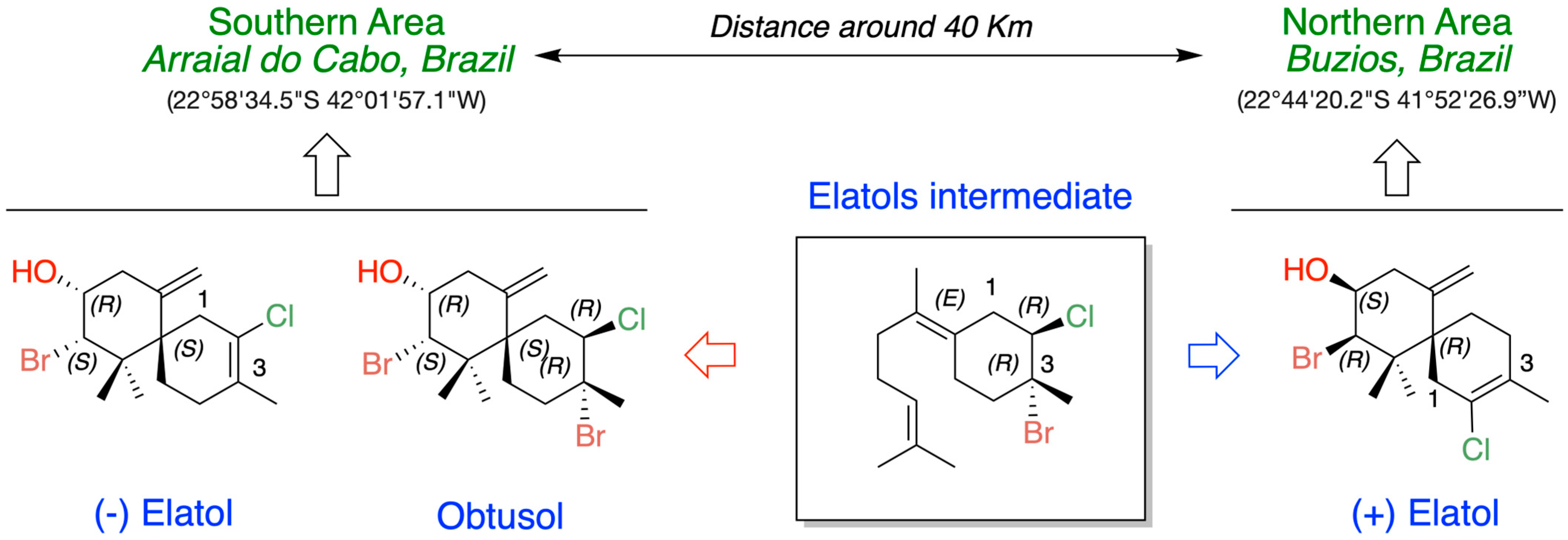 Marinedrugs 24 00061 g005
