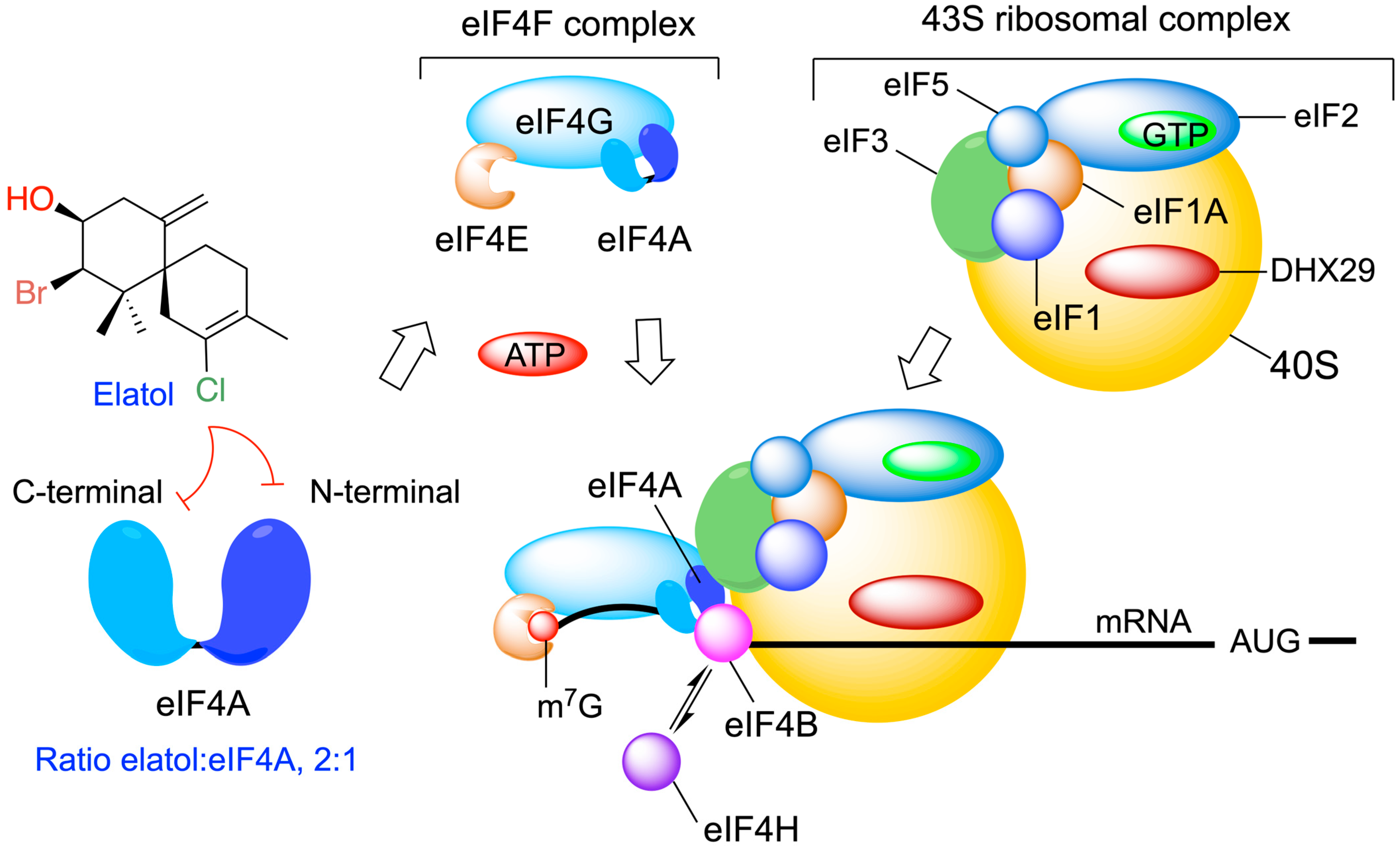 Marinedrugs 24 00061 g007