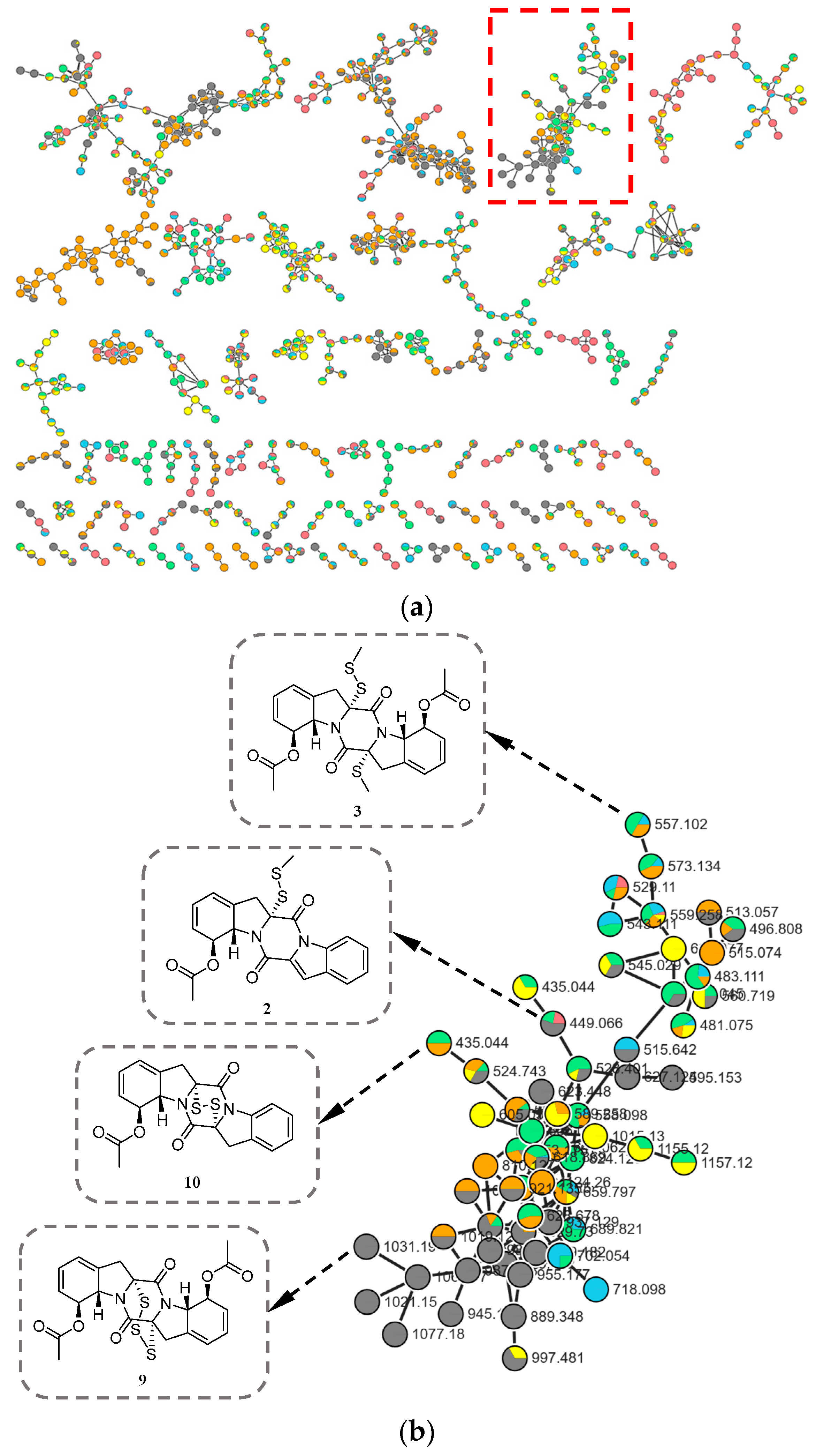 Marinedrugs 24 00062 g001