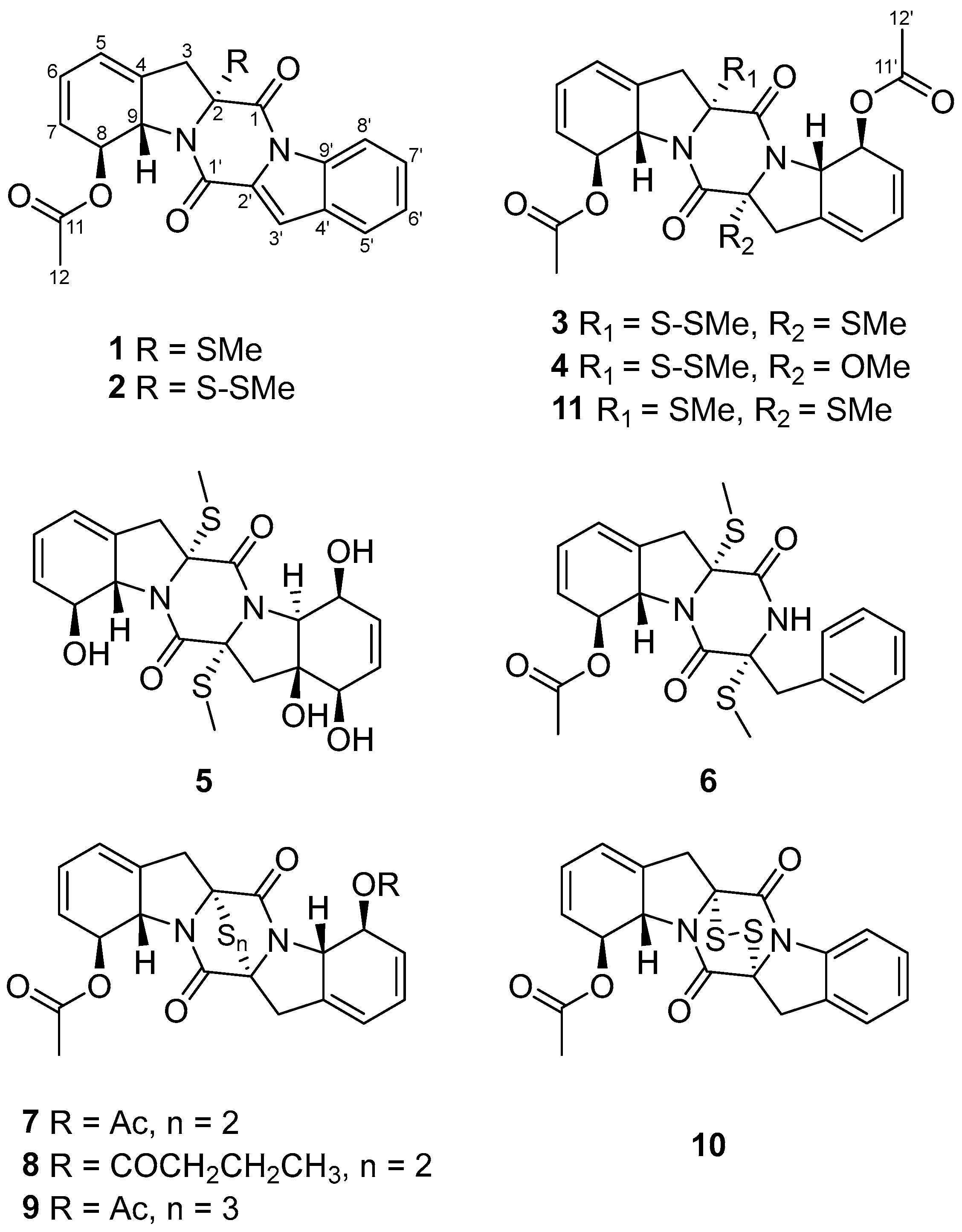 Marinedrugs 24 00062 g002