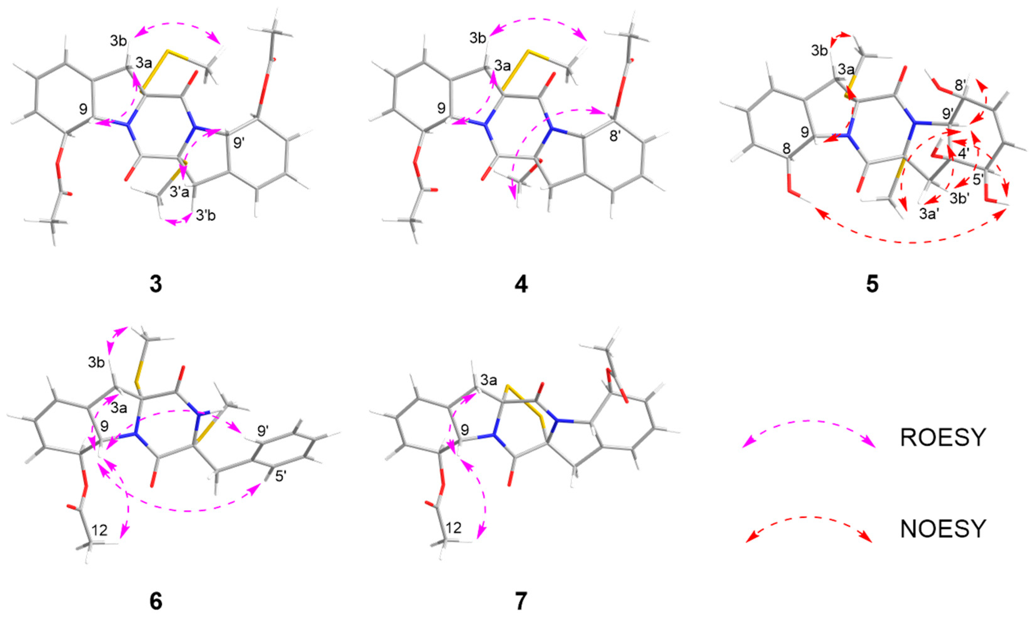 Marinedrugs 24 00062 g006