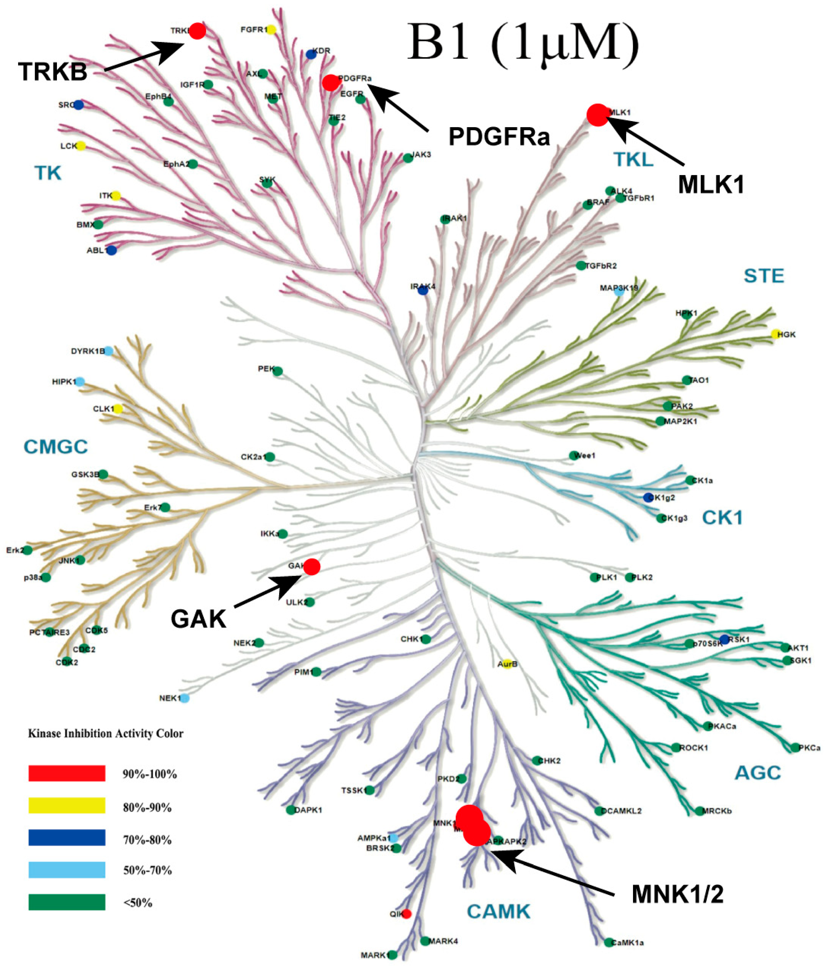 Marinedrugs 24 00063 g003