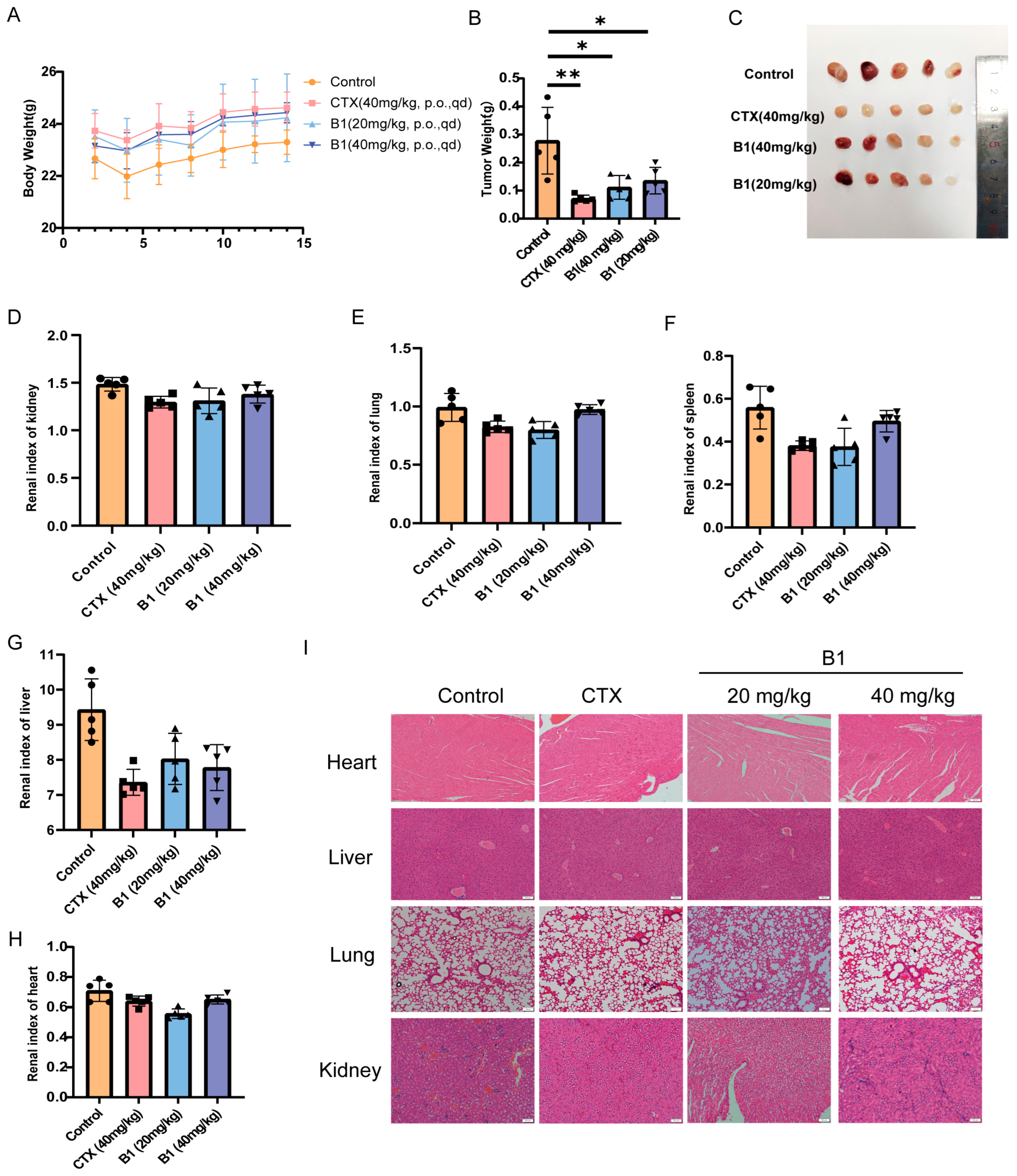 Marinedrugs 24 00063 g006