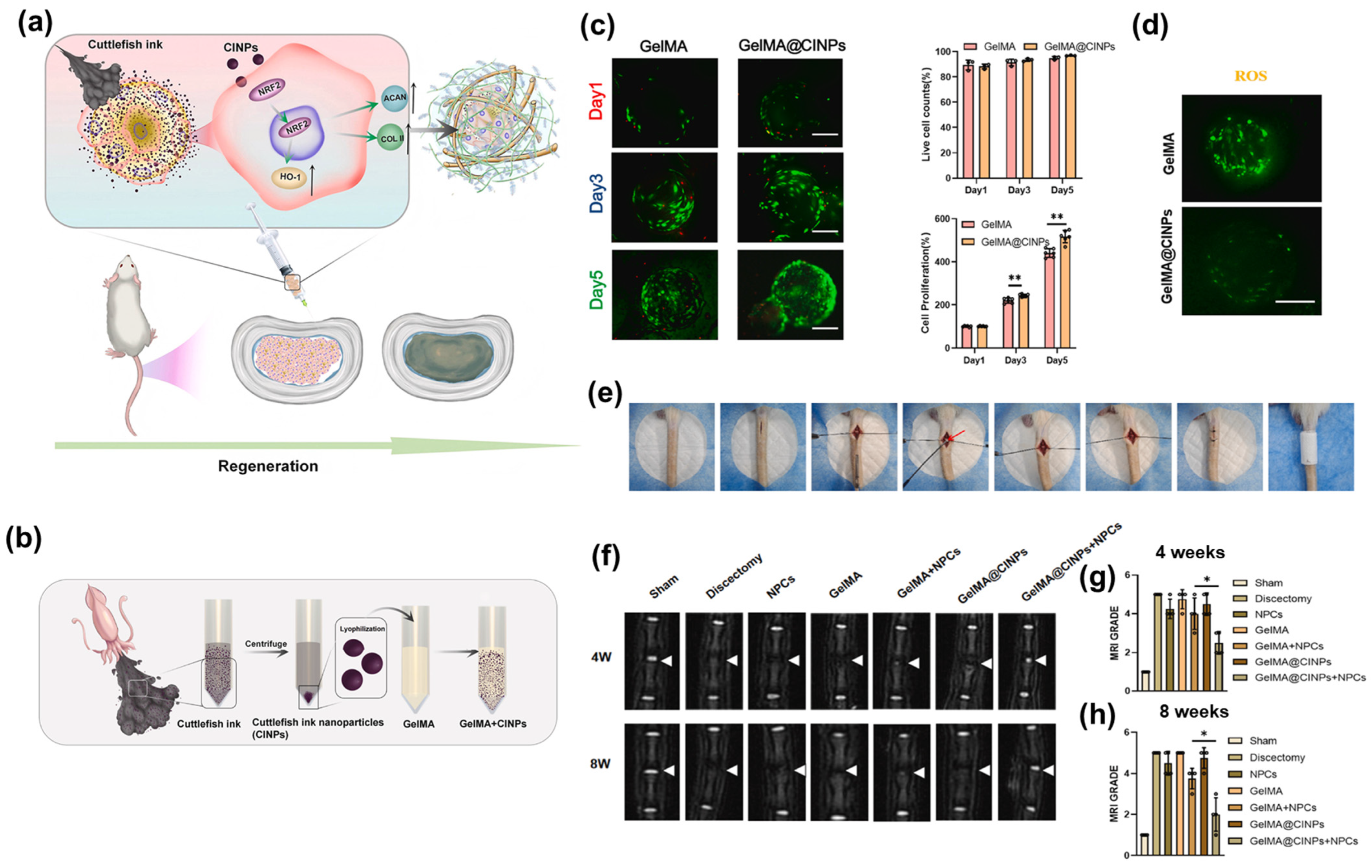 Marinedrugs 24 00089 g001 Marinedrugs 24 00089 g001