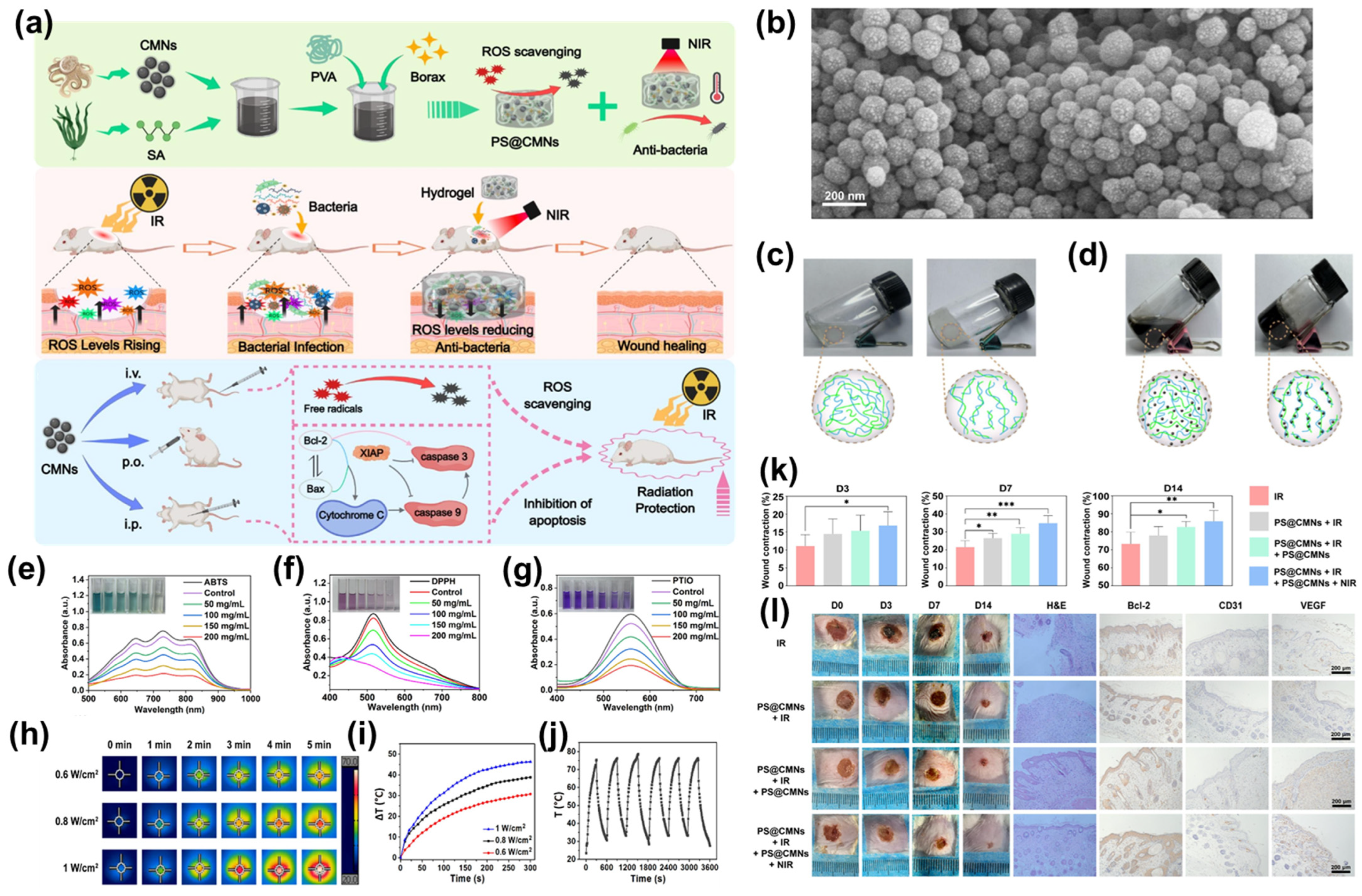 Marinedrugs 24 00089 g002 Marinedrugs 24 00089 g002