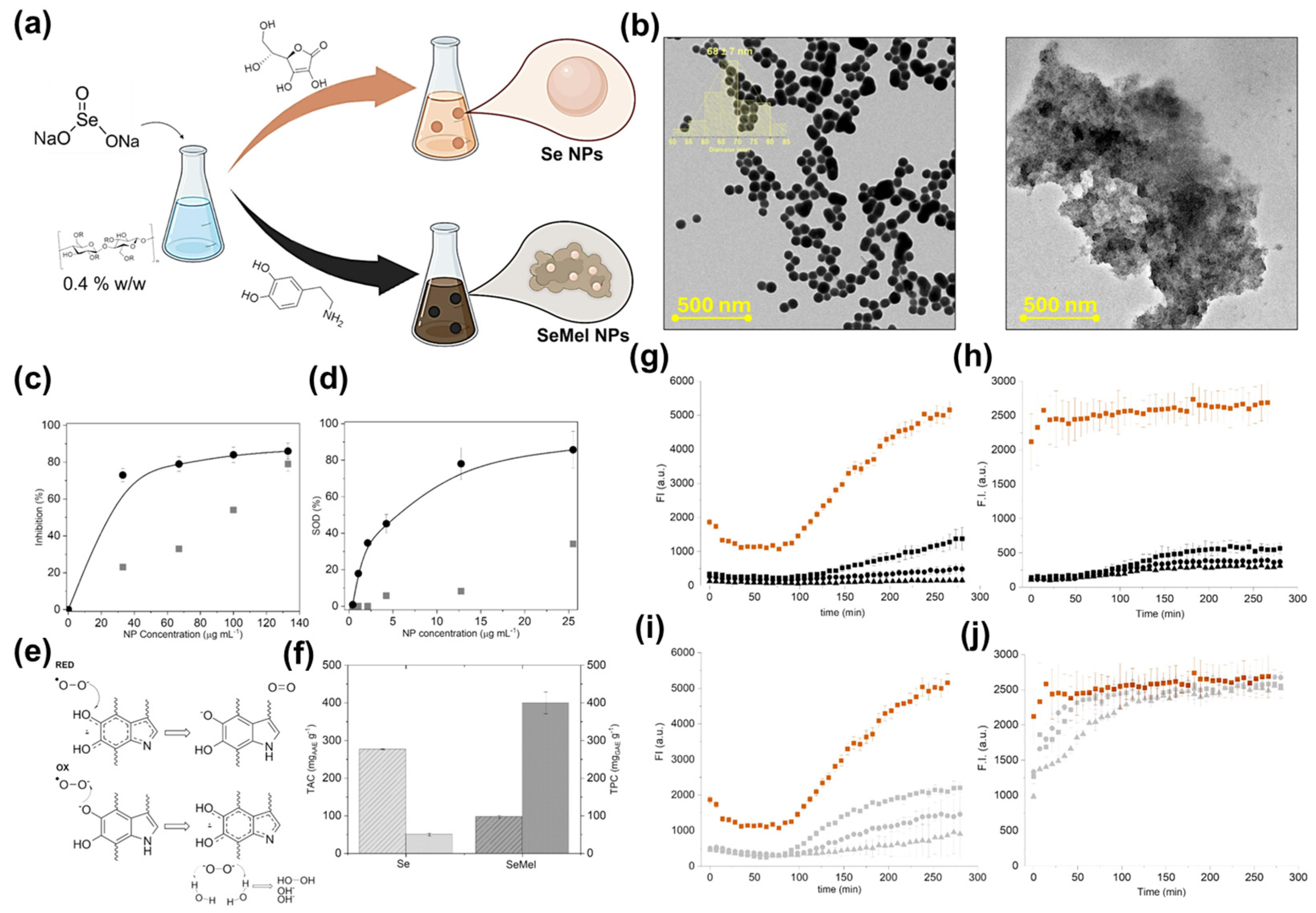 Marinedrugs 24 00089 g003 Marinedrugs 24 00089 g003