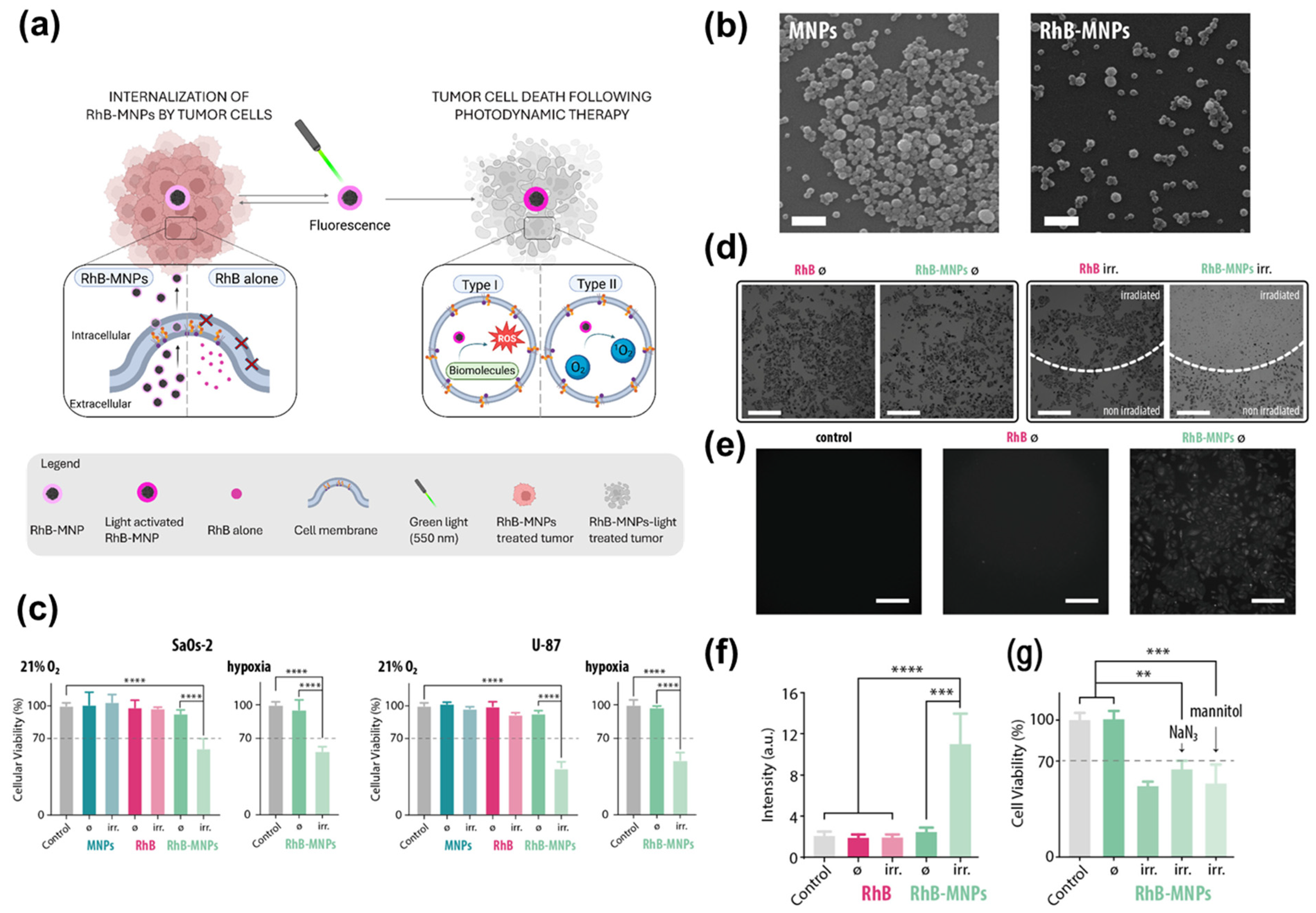 Marinedrugs 24 00089 g004 Marinedrugs 24 00089 g004