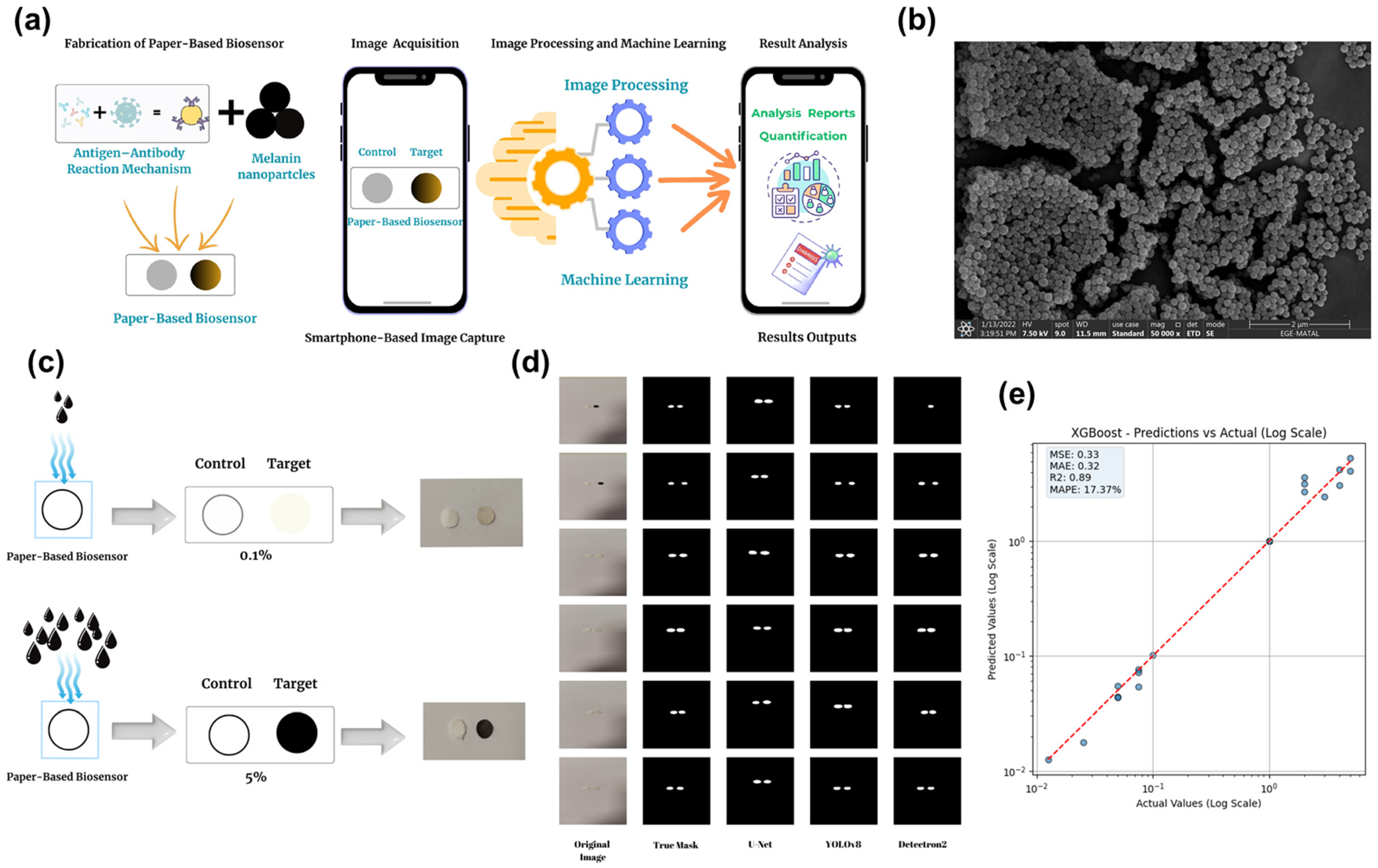 Marinedrugs 24 00089 g005 Marinedrugs 24 00089 g005