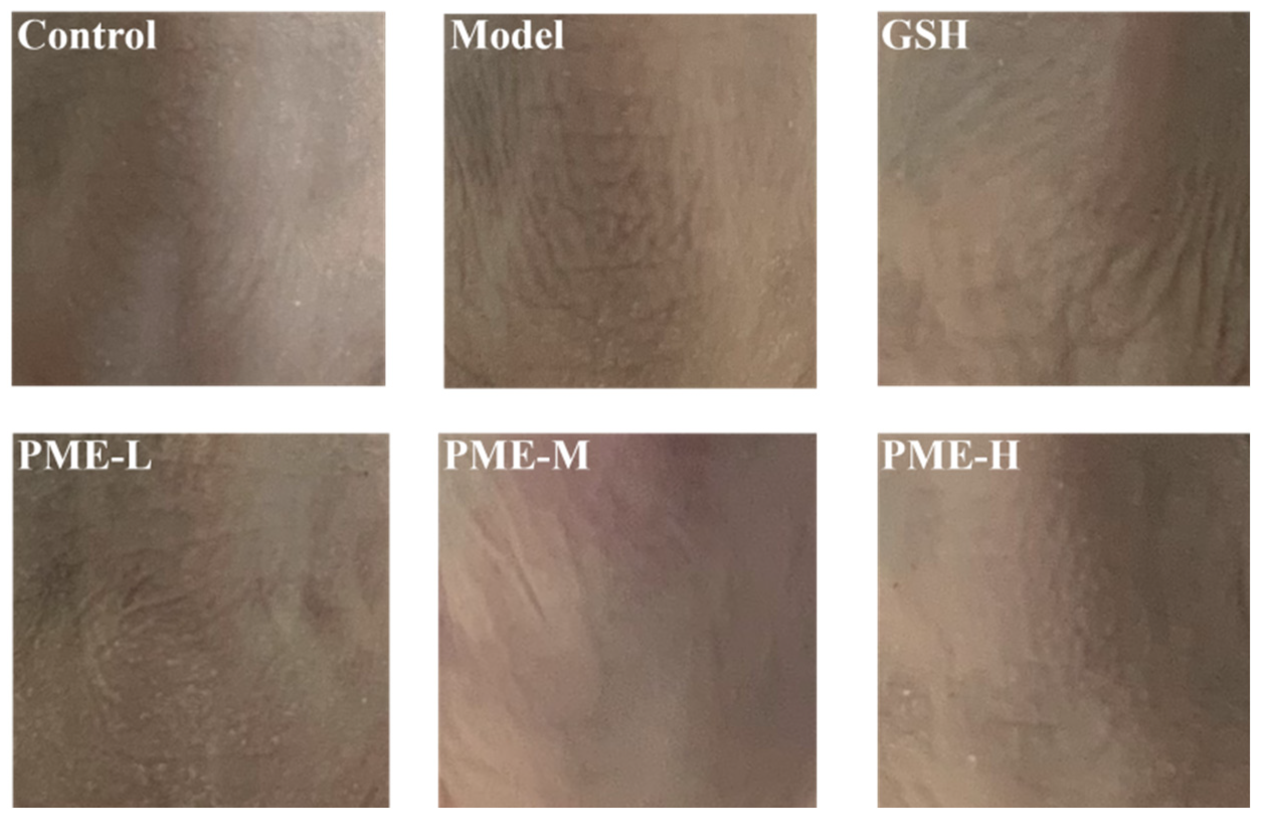 Marinedrugs 24 00097 g002 Marinedrugs 24 00097 g002