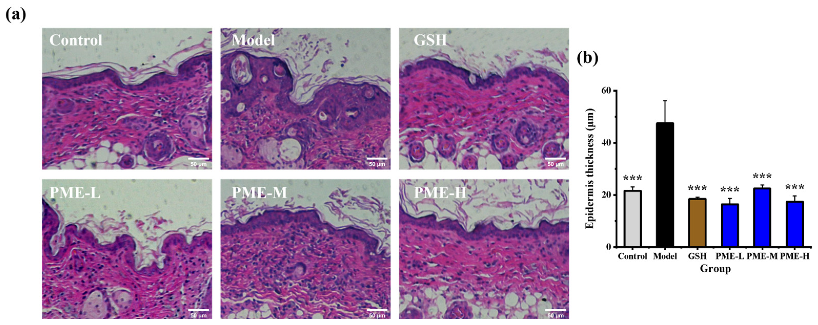 Marinedrugs 24 00097 g004 Marinedrugs 24 00097 g004