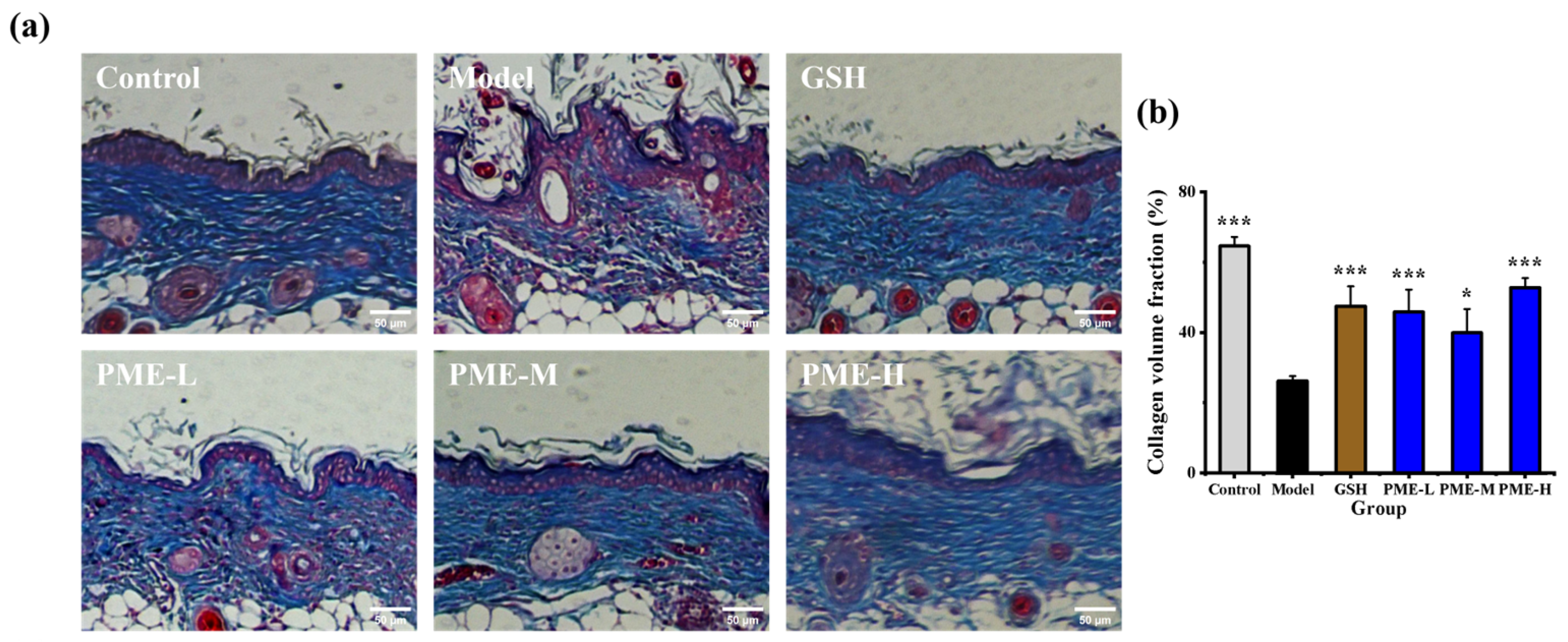 Marinedrugs 24 00097 g005 Marinedrugs 24 00097 g005