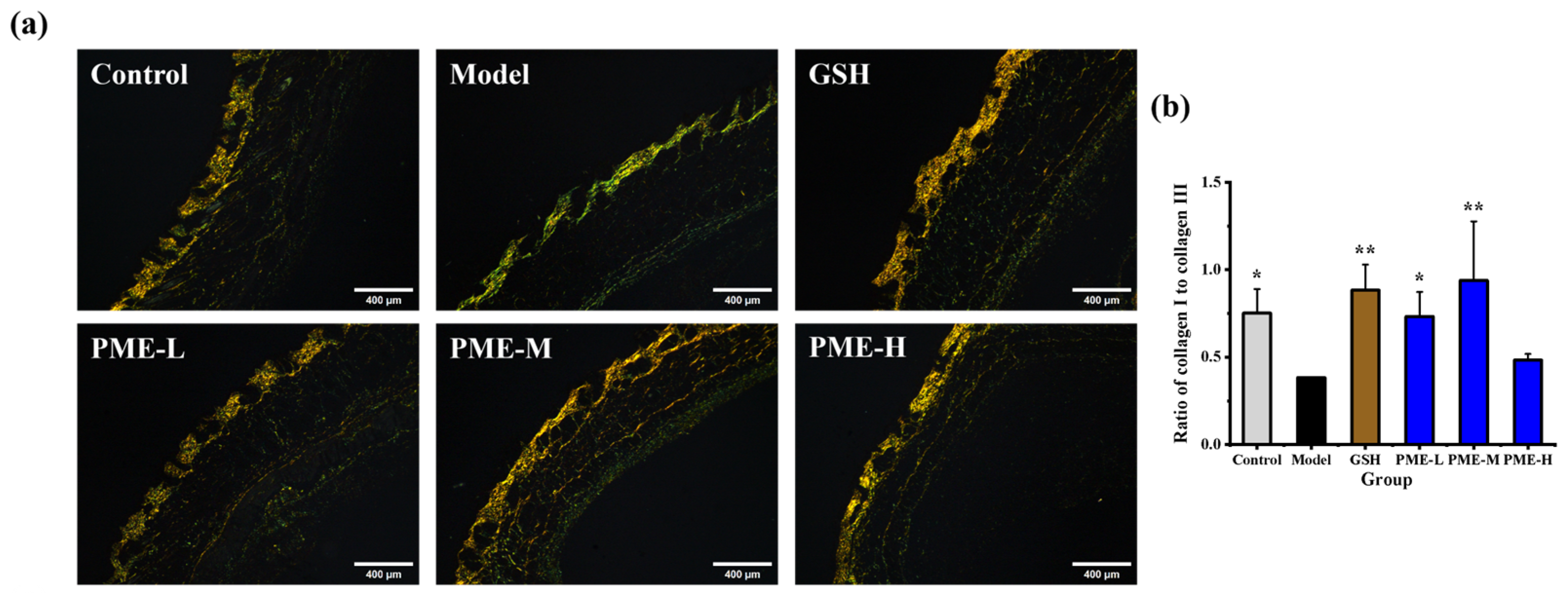 Marinedrugs 24 00097 g006 Marinedrugs 24 00097 g006