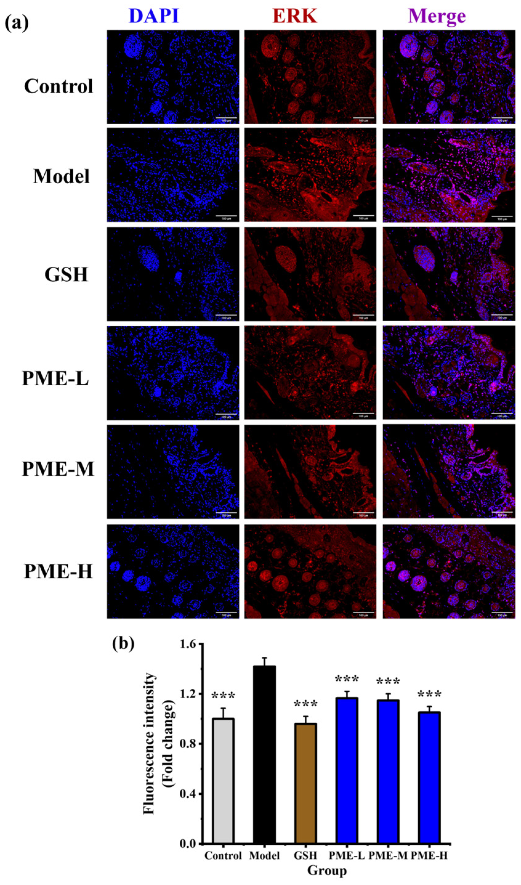 Marinedrugs 24 00097 g008 Marinedrugs 24 00097 g008