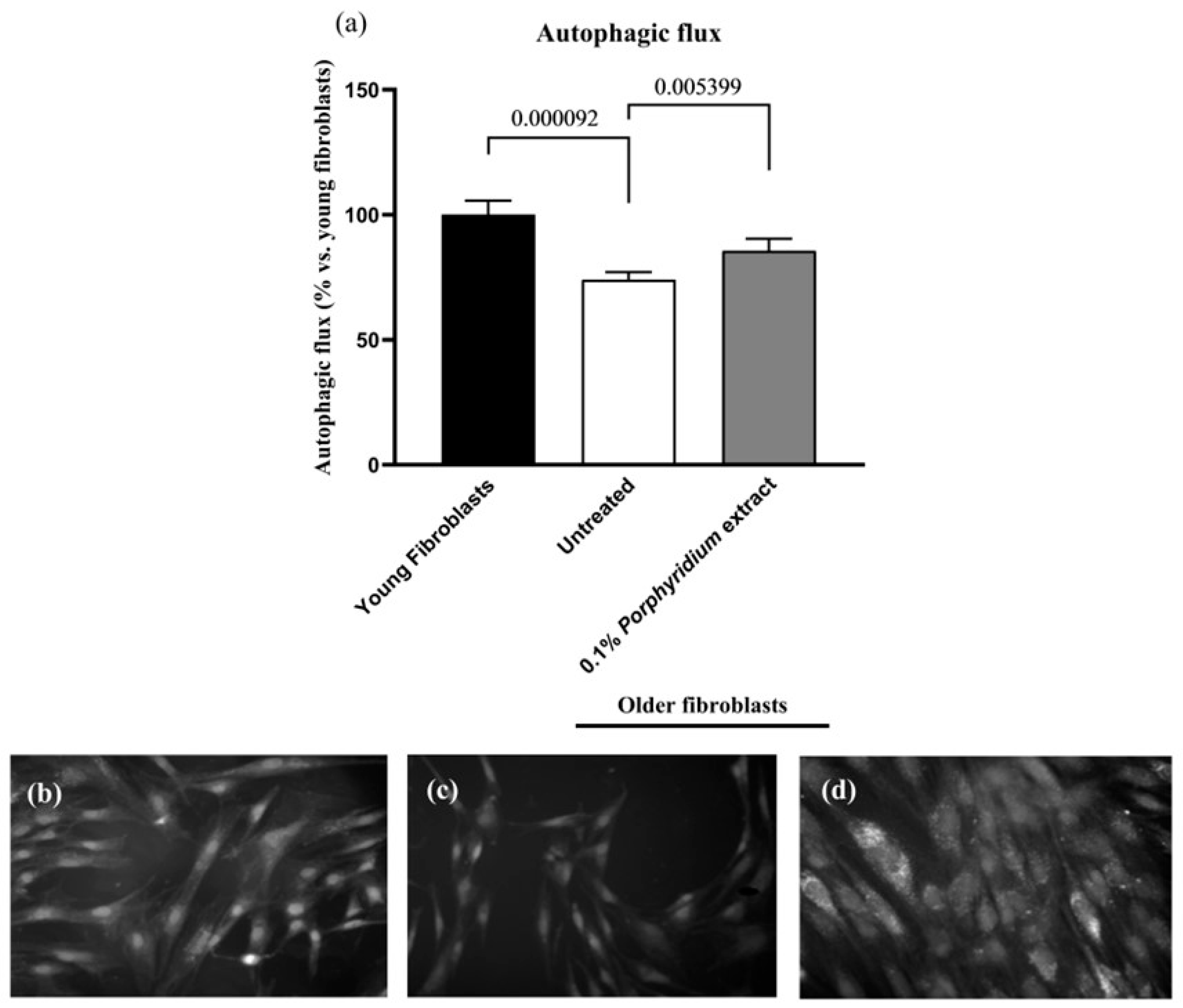 Marinedrugs 24 00099 g005