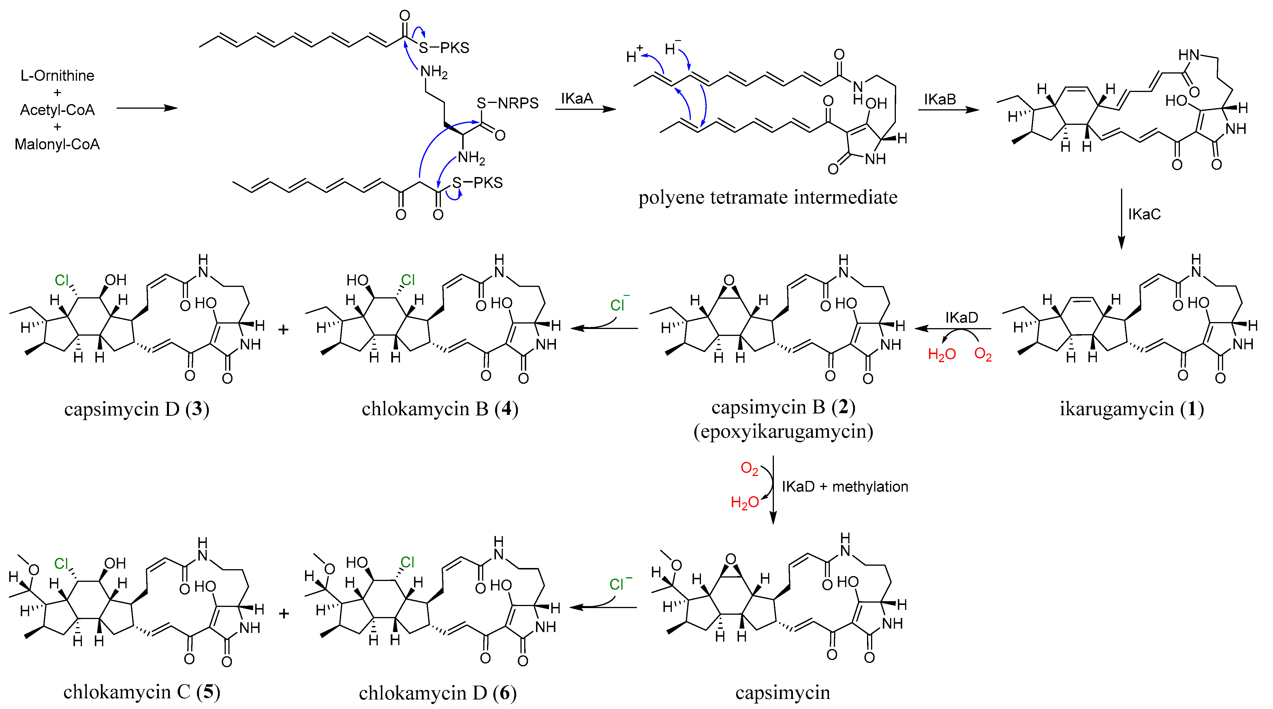 Marinedrugs 24 00117 g005