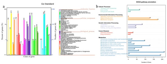 Direct Ectoine Production from Chitin Waste by a Wild-Type Vibrio ...