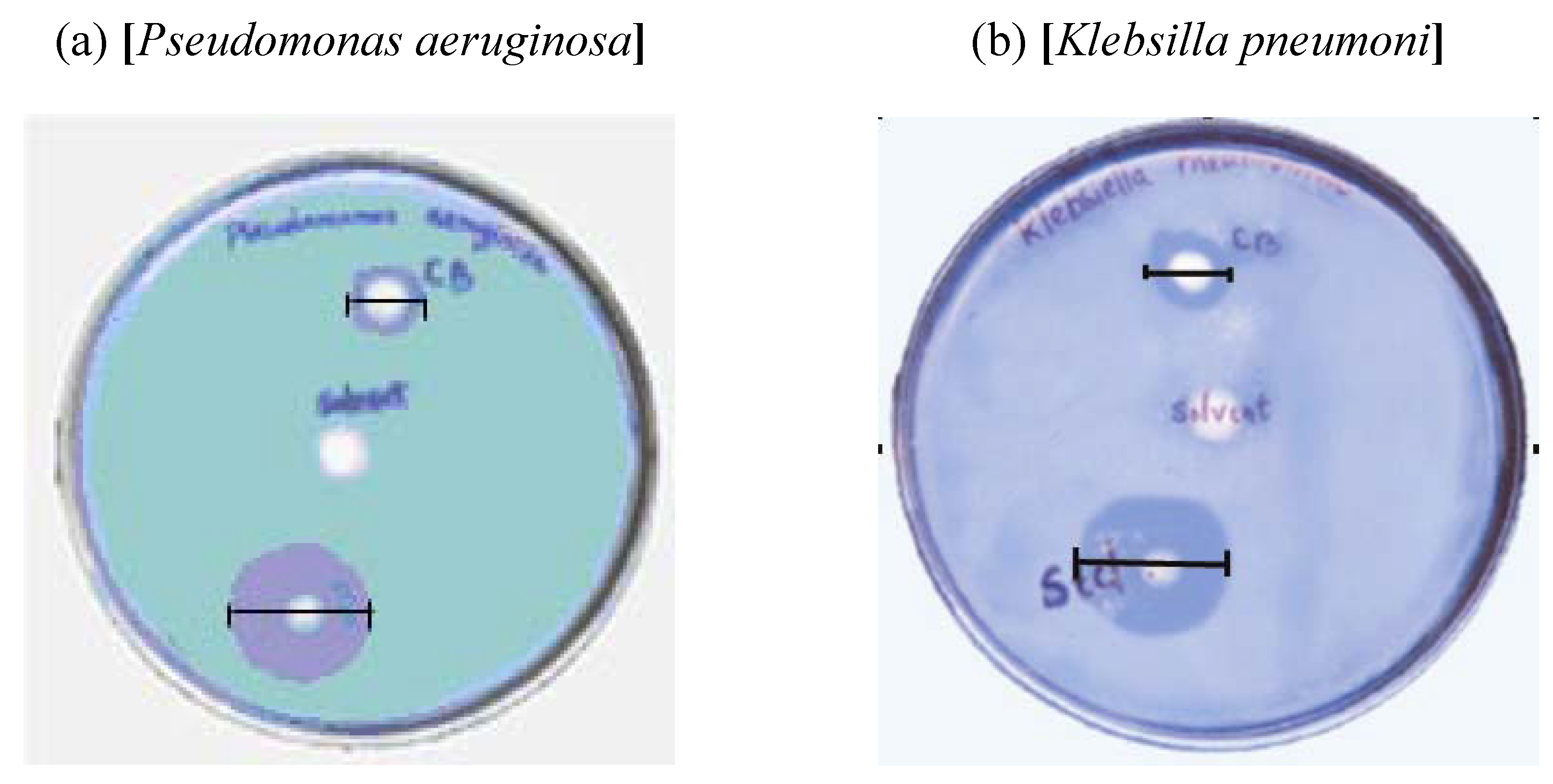 Materials 02 00345 g004