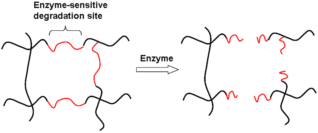Materials 02 00353 g005 1024