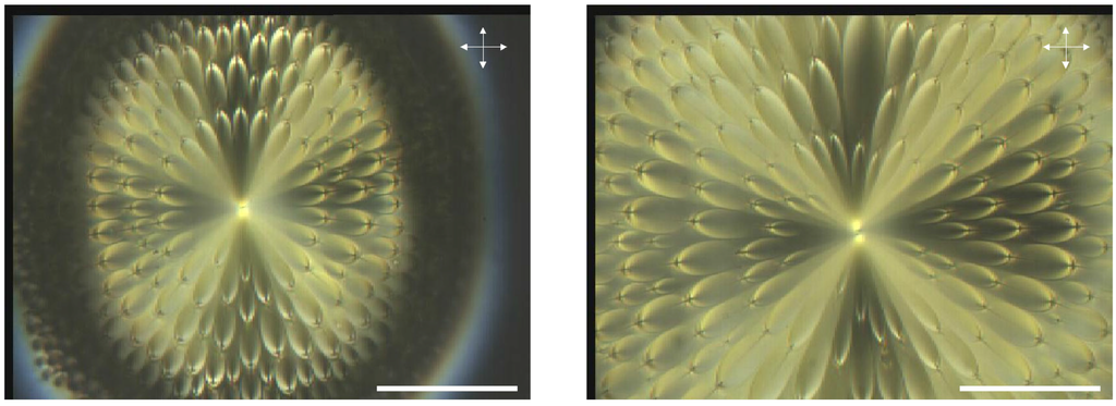 Materials 02 00499 g002 1024