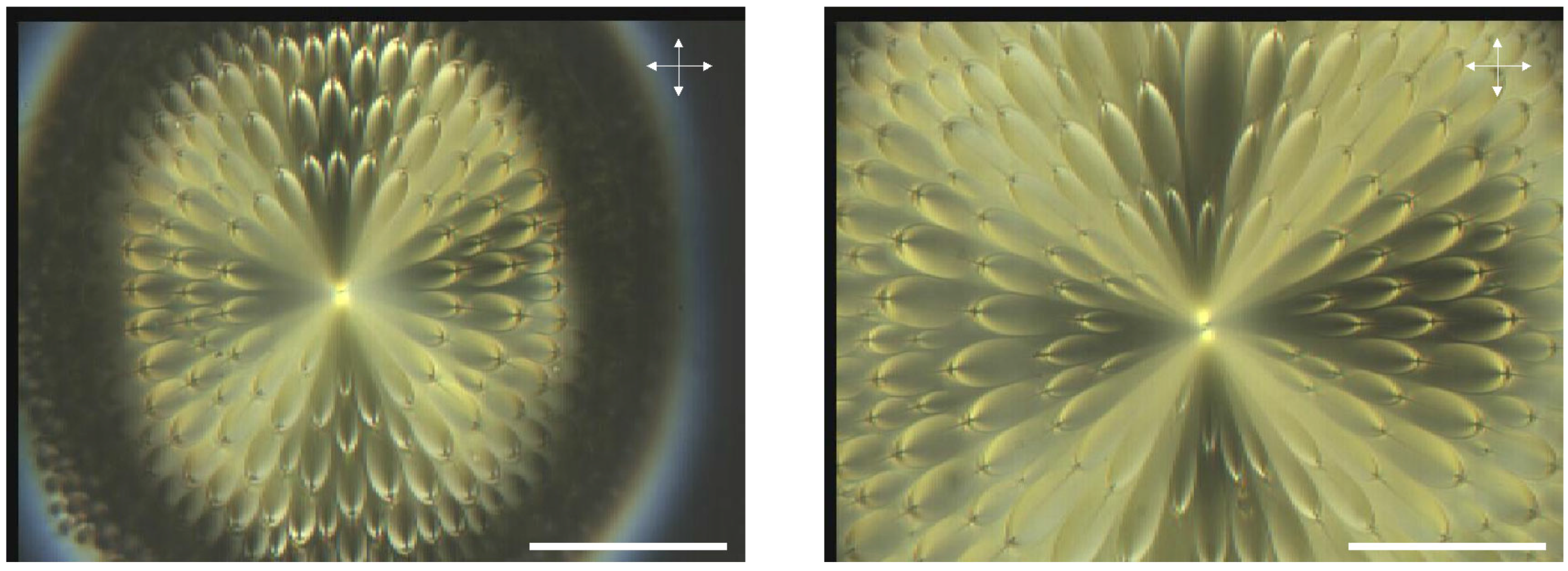 Materials 02 00499 g002