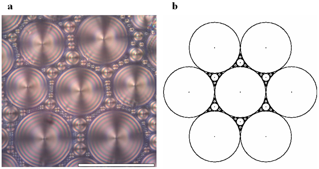 Materials 02 00499 g003 1024