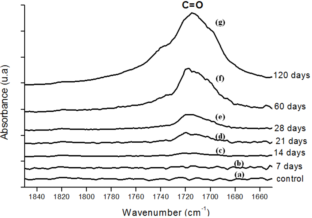 Materials 02 00562 g004 1024