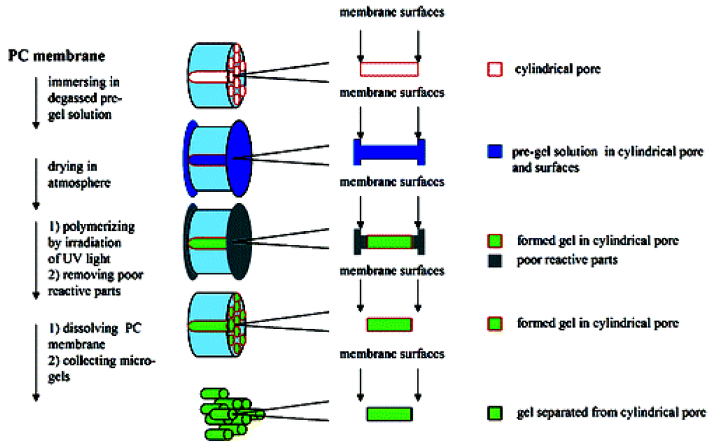 Materials 02 00577 g001 1024