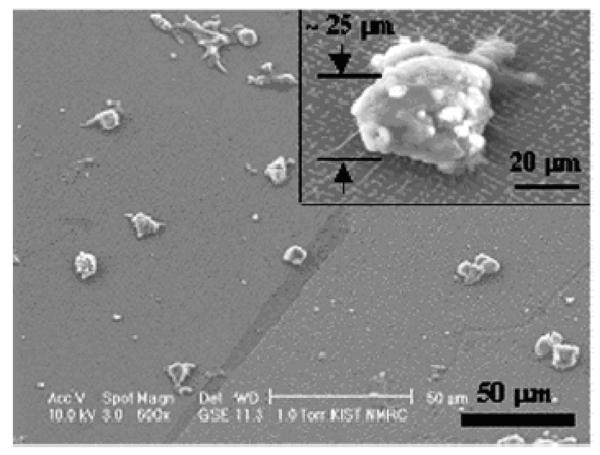 Materials 02 00577 g006