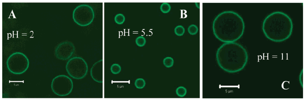 Materials 02 00577 g008 1024