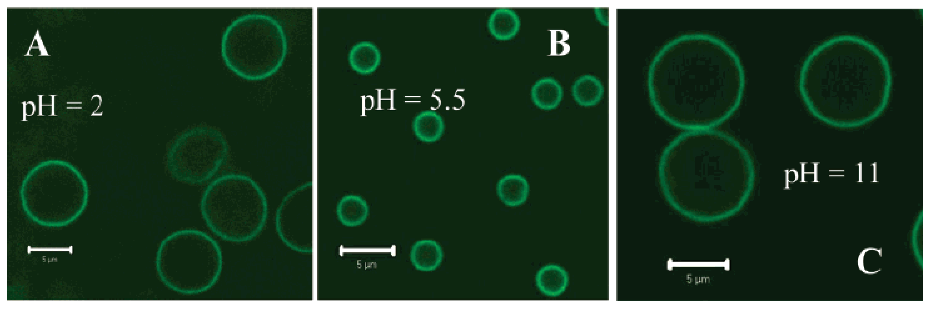 Materials 02 00577 g008